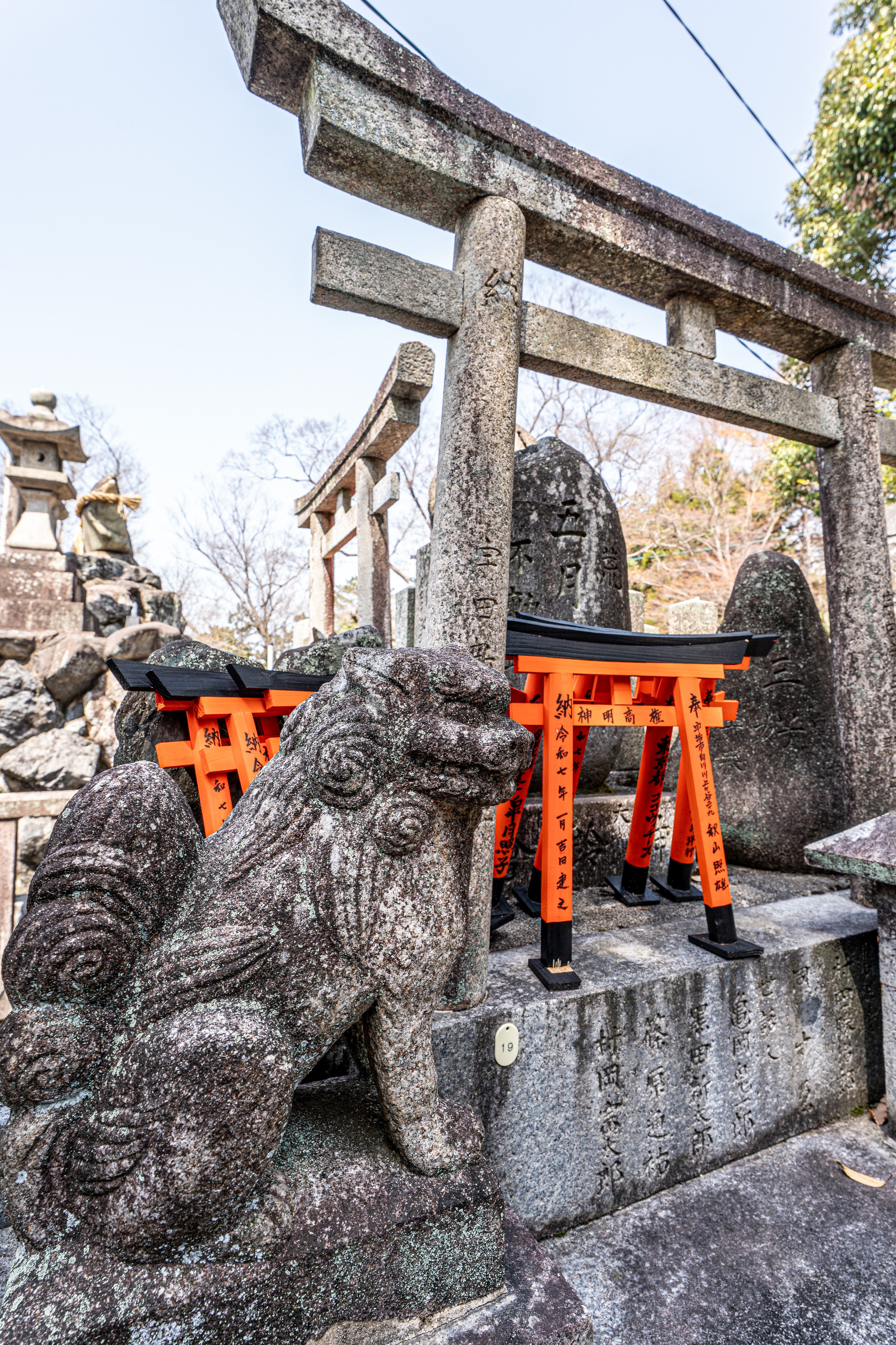 Япония, сакура. Творческие сьемки