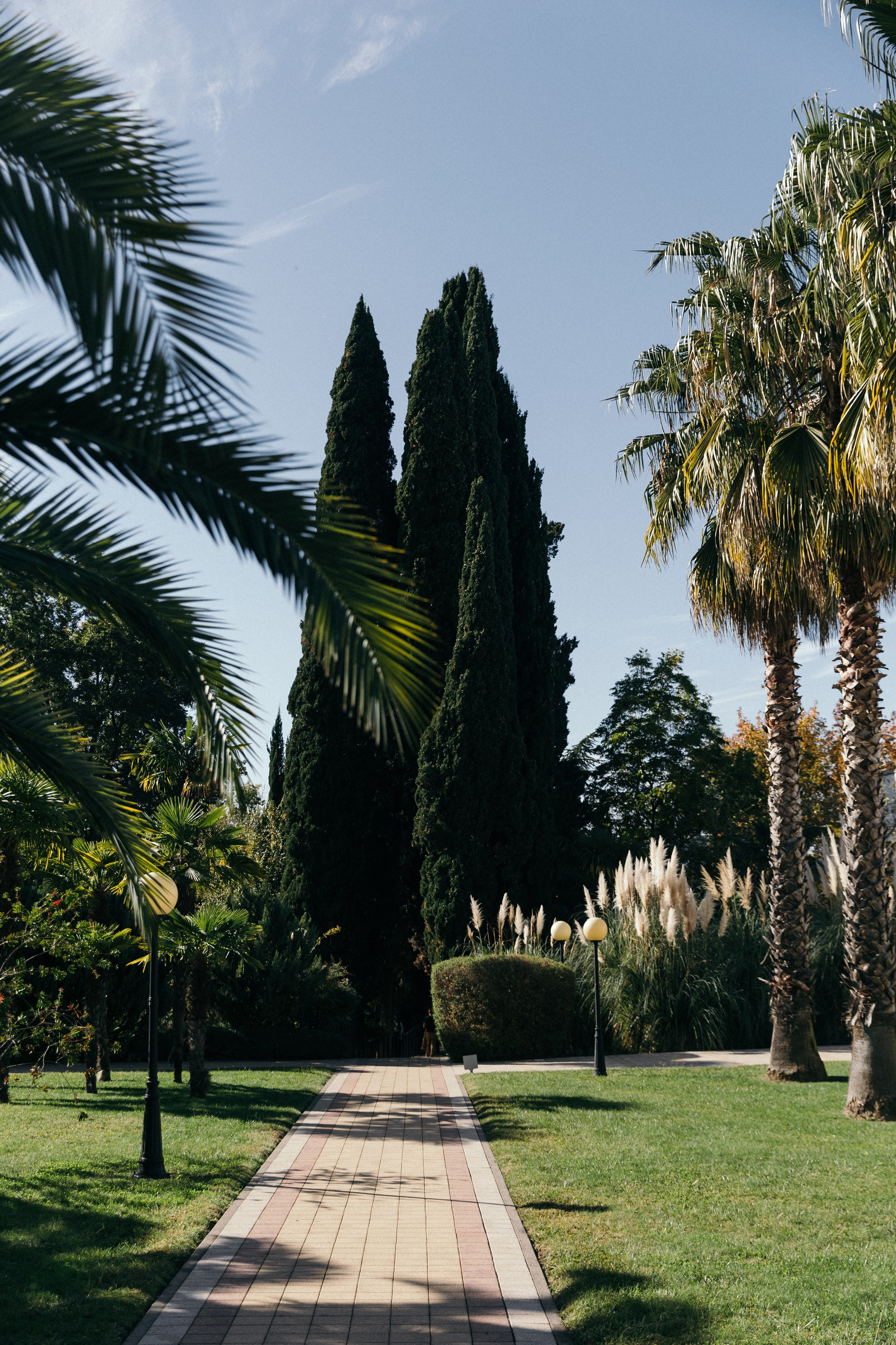 Эмиль и Катя. Свадебный и семейный фотограф в Краснодаре Роман Моско