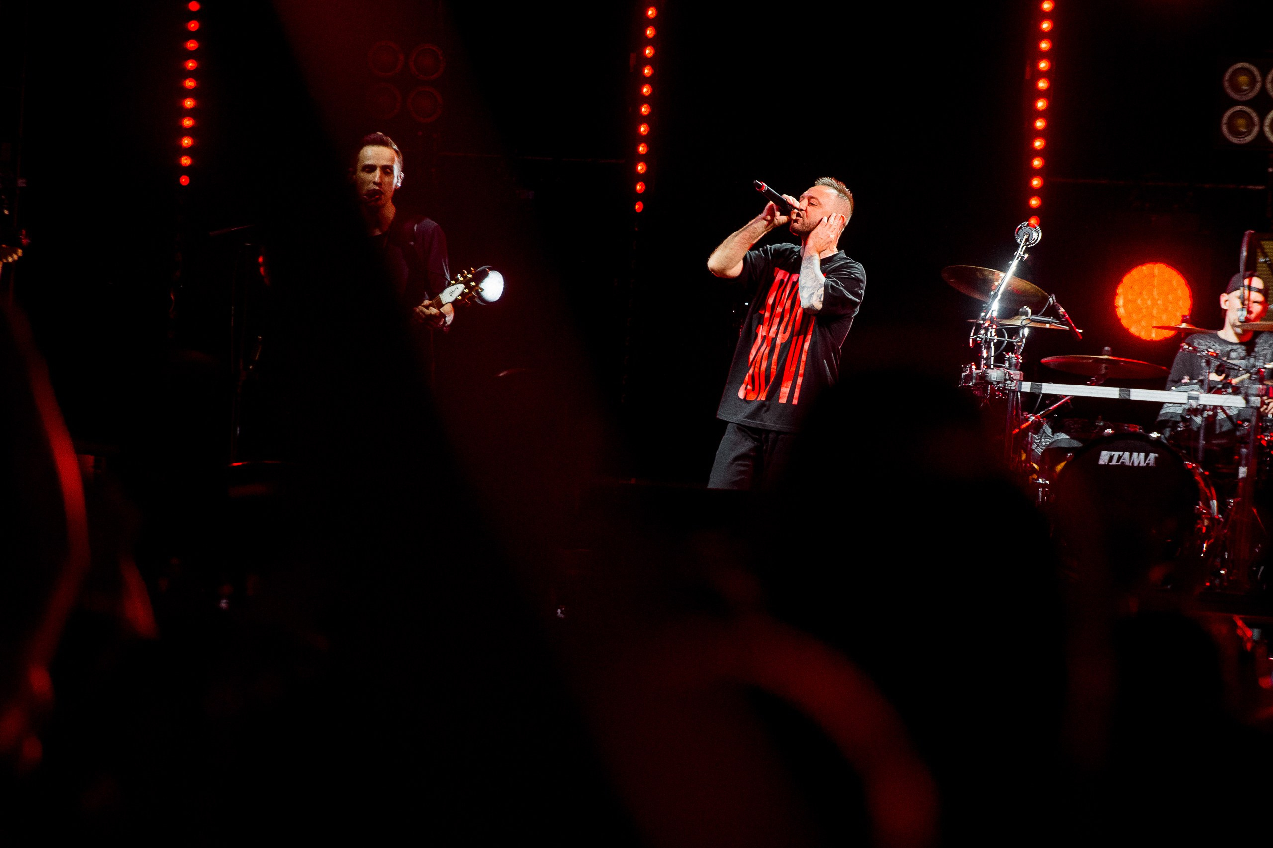 Звери 2025. Репортажный фотограф в Кемерово