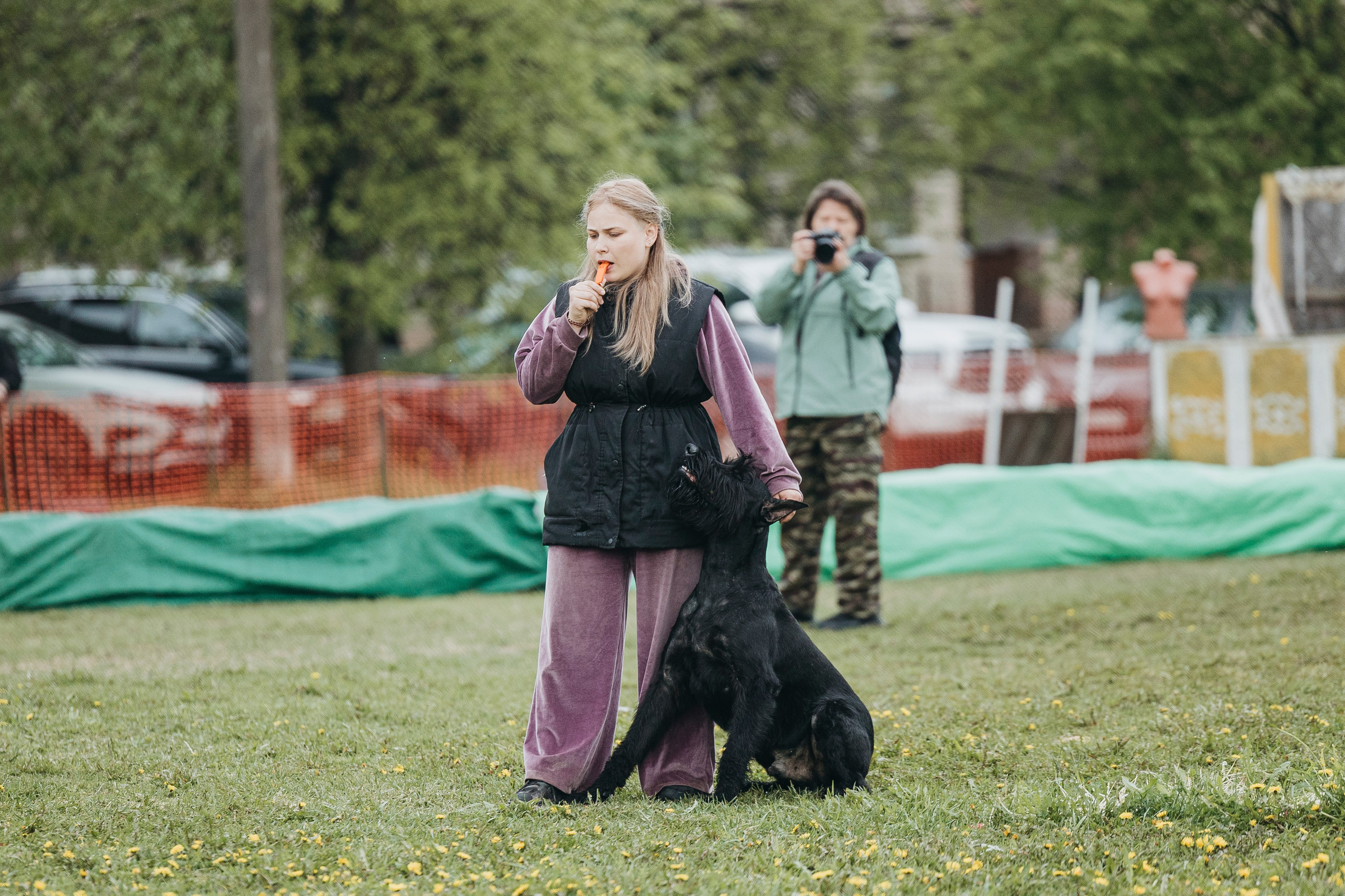 26.05.25 г. Пушкин квалификационные соревнования. Фотограф-анималист Анна Маринич