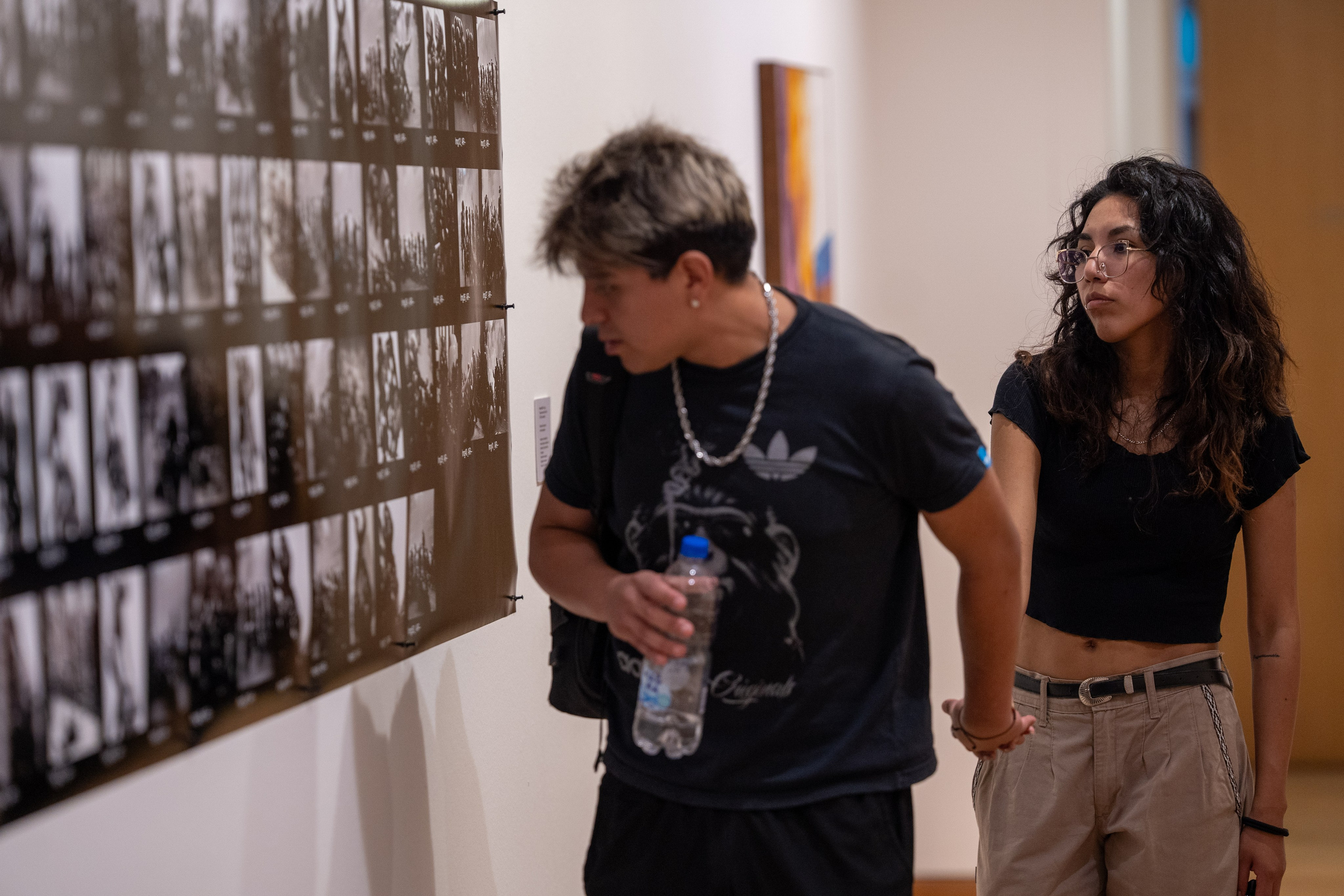 The Evita Fine Arts Museum (Palacio Ferreyra). Shanti Alex Art