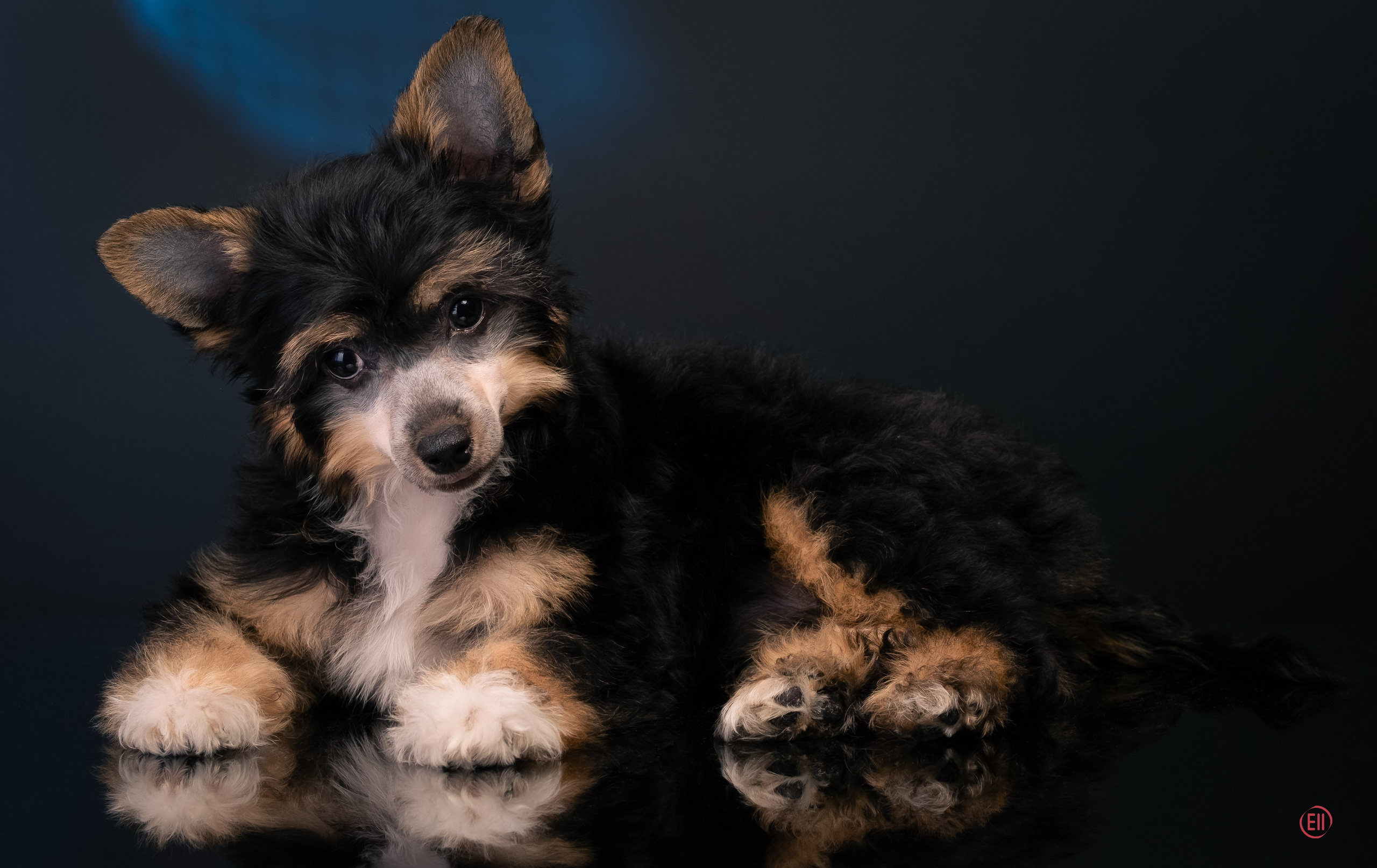 07.06.2025 Синяя фотосессия. Фотограф в Москве