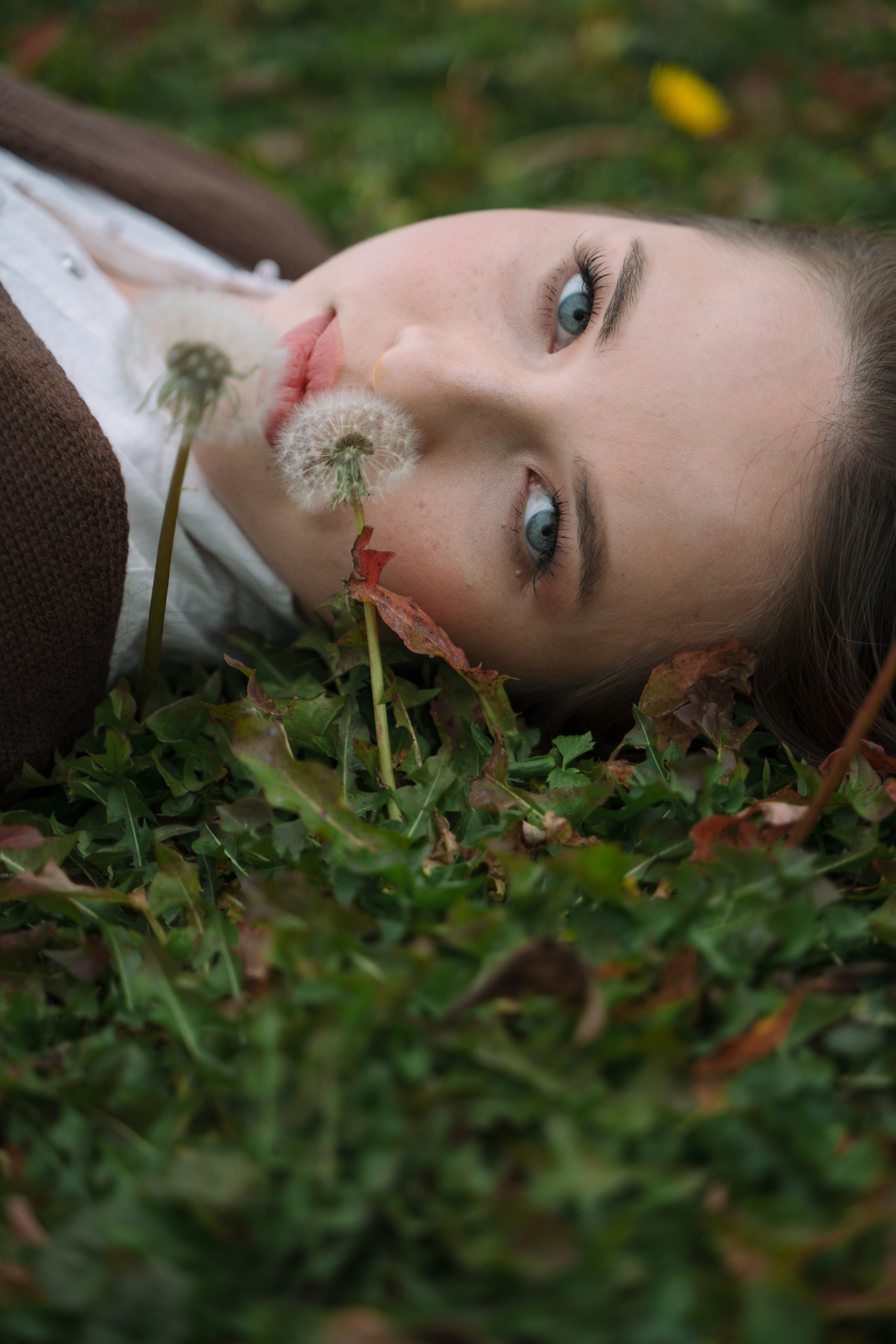 Сыч пакр. Фотограф Мария Зайчик