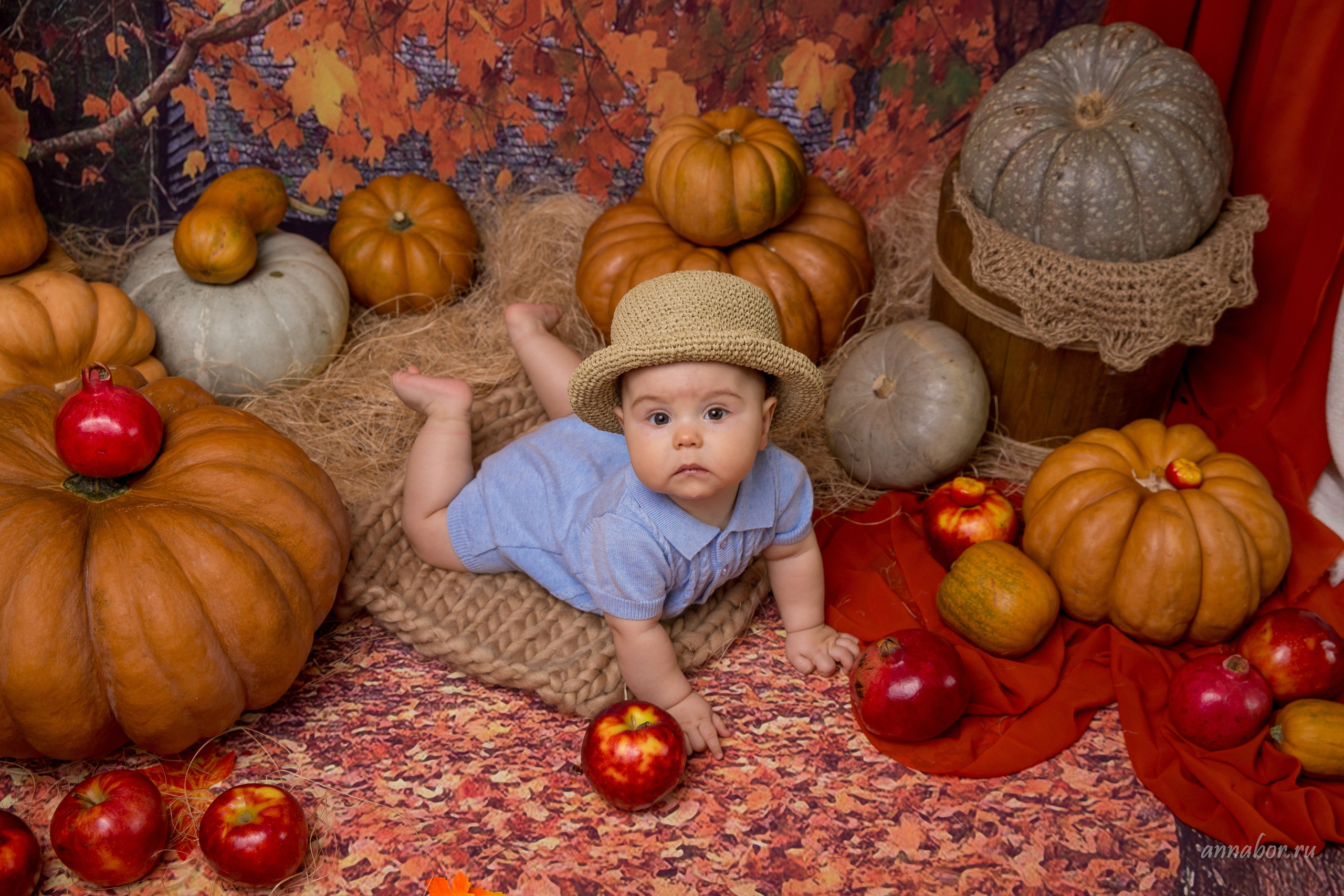 Фотопроект ТЫКВЫ. Фотограф новорожденных, детей до года и беременных в Симферополе