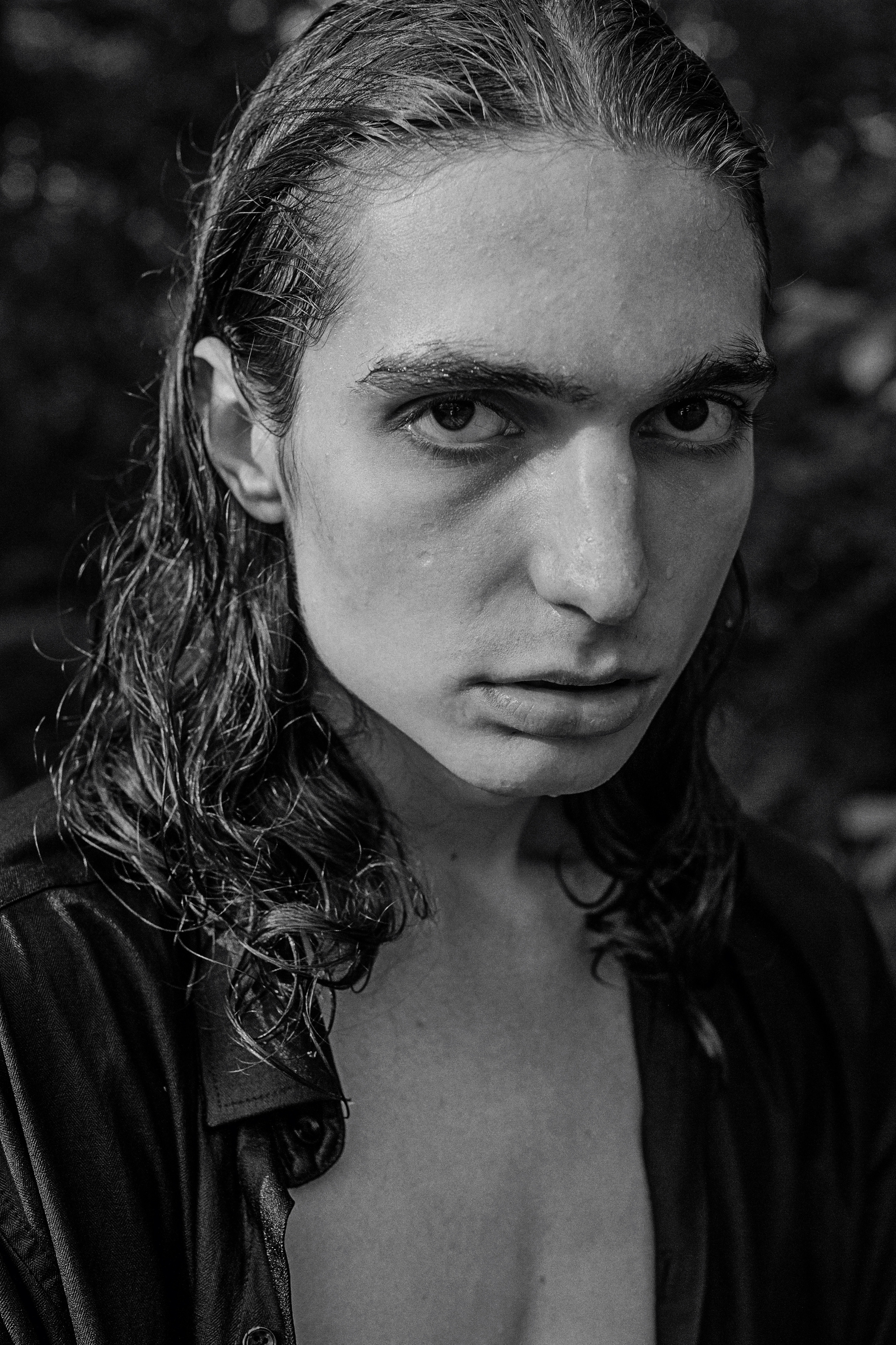 Лев. Сергей Виноградов фотограф Россия Санкт-Петербург