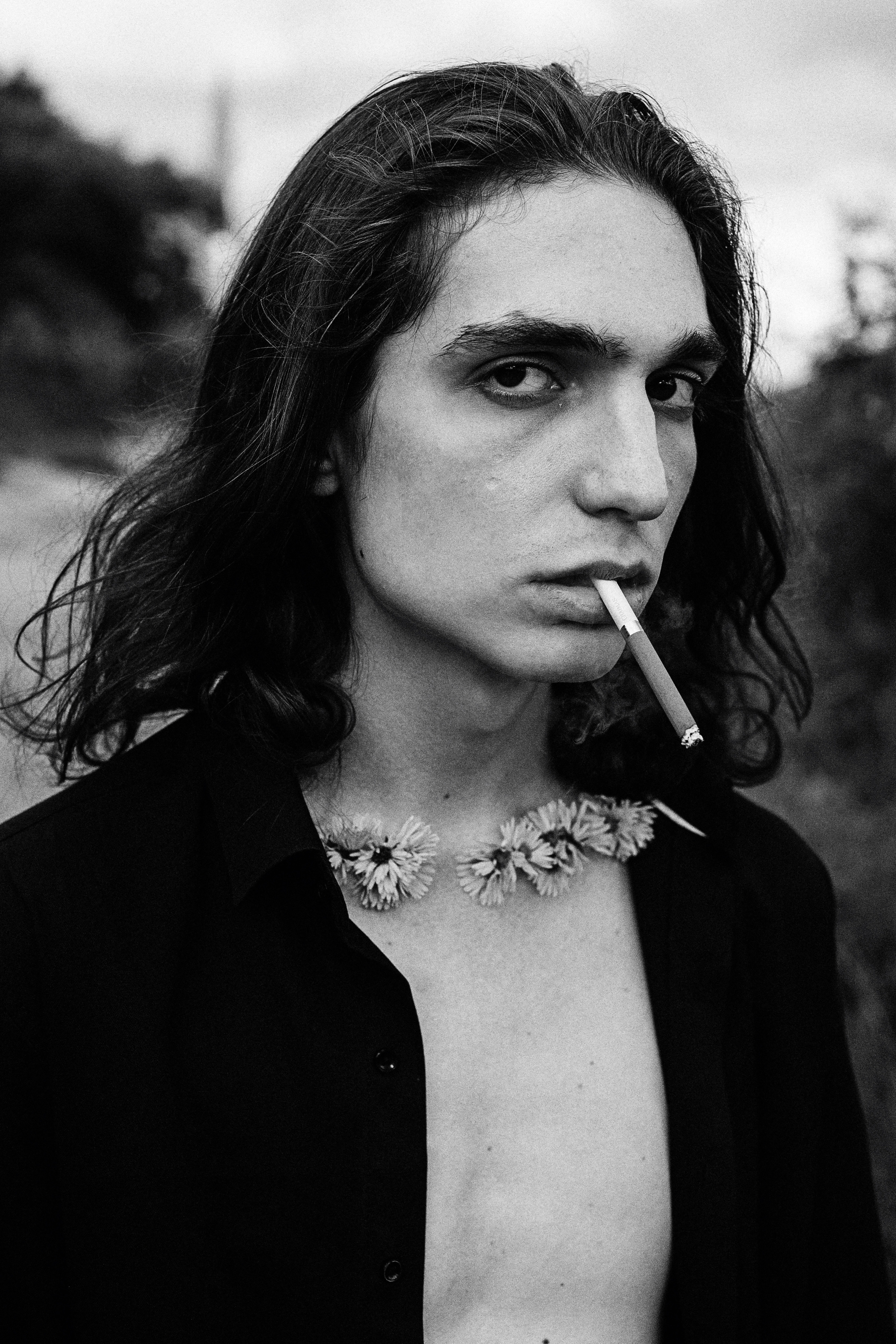 Лев. Сергей Виноградов фотограф Россия Санкт-Петербург