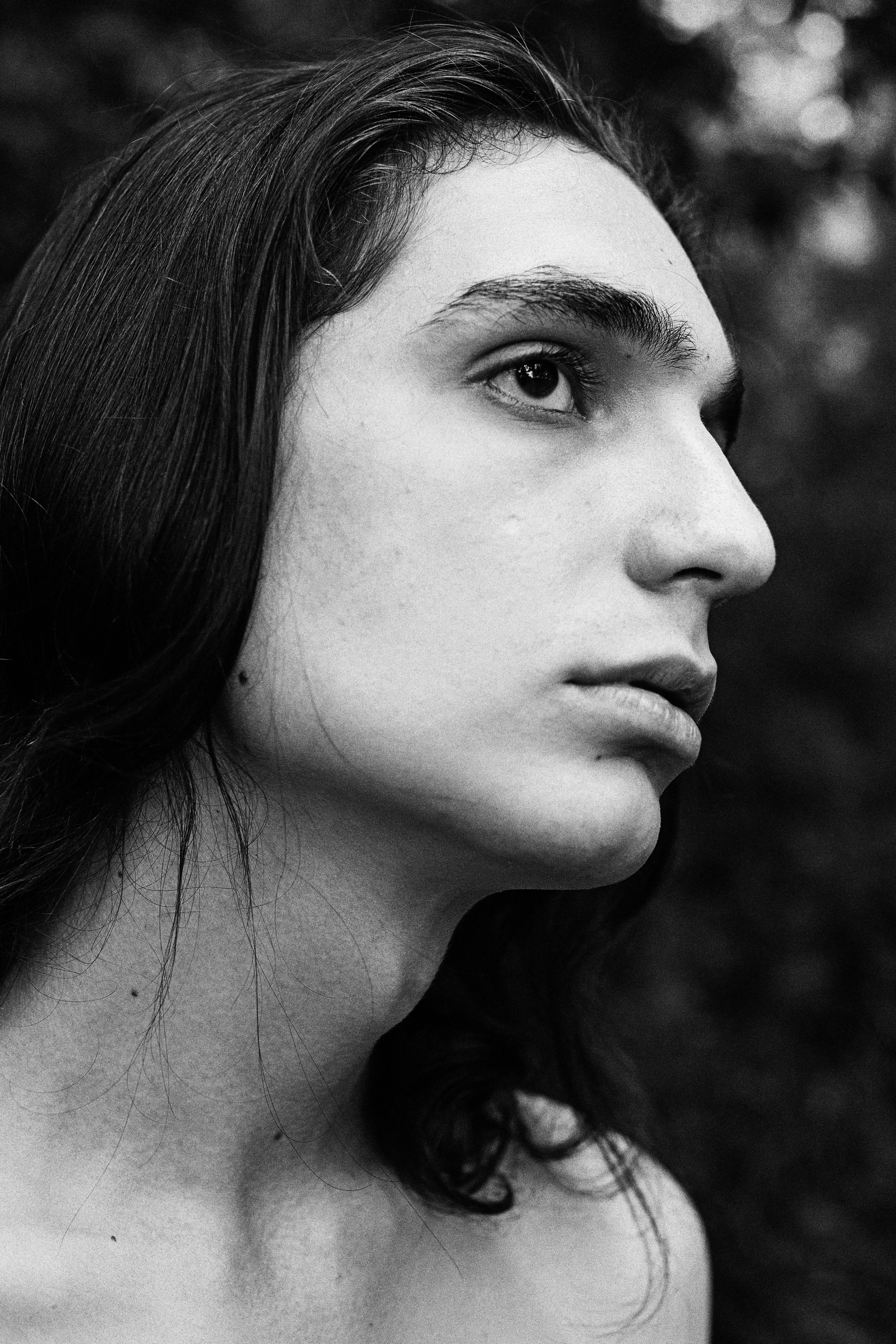 Лев. Сергей Виноградов фотограф Россия Санкт-Петербург