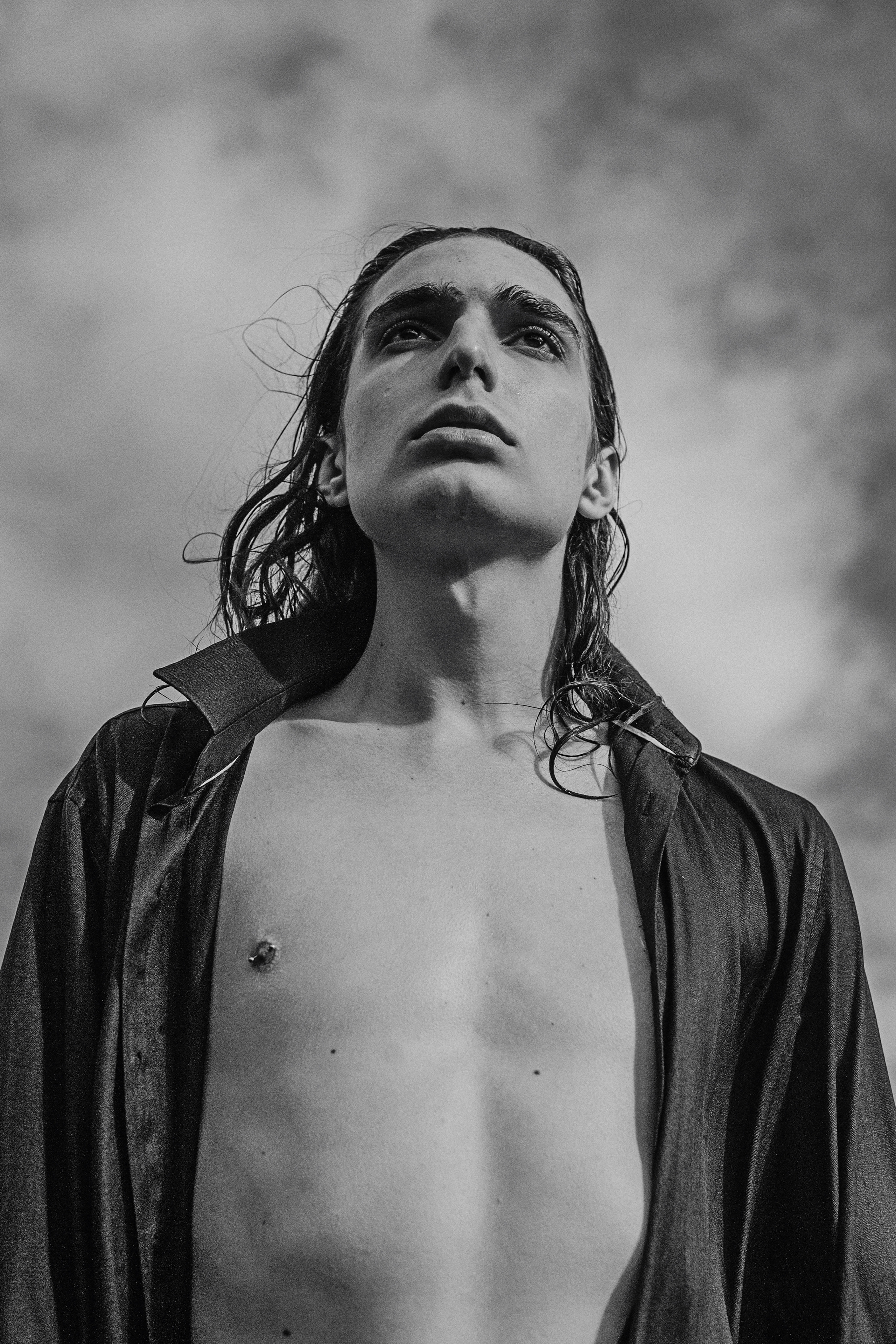 Лев. Сергей Виноградов фотограф Россия Санкт-Петербург