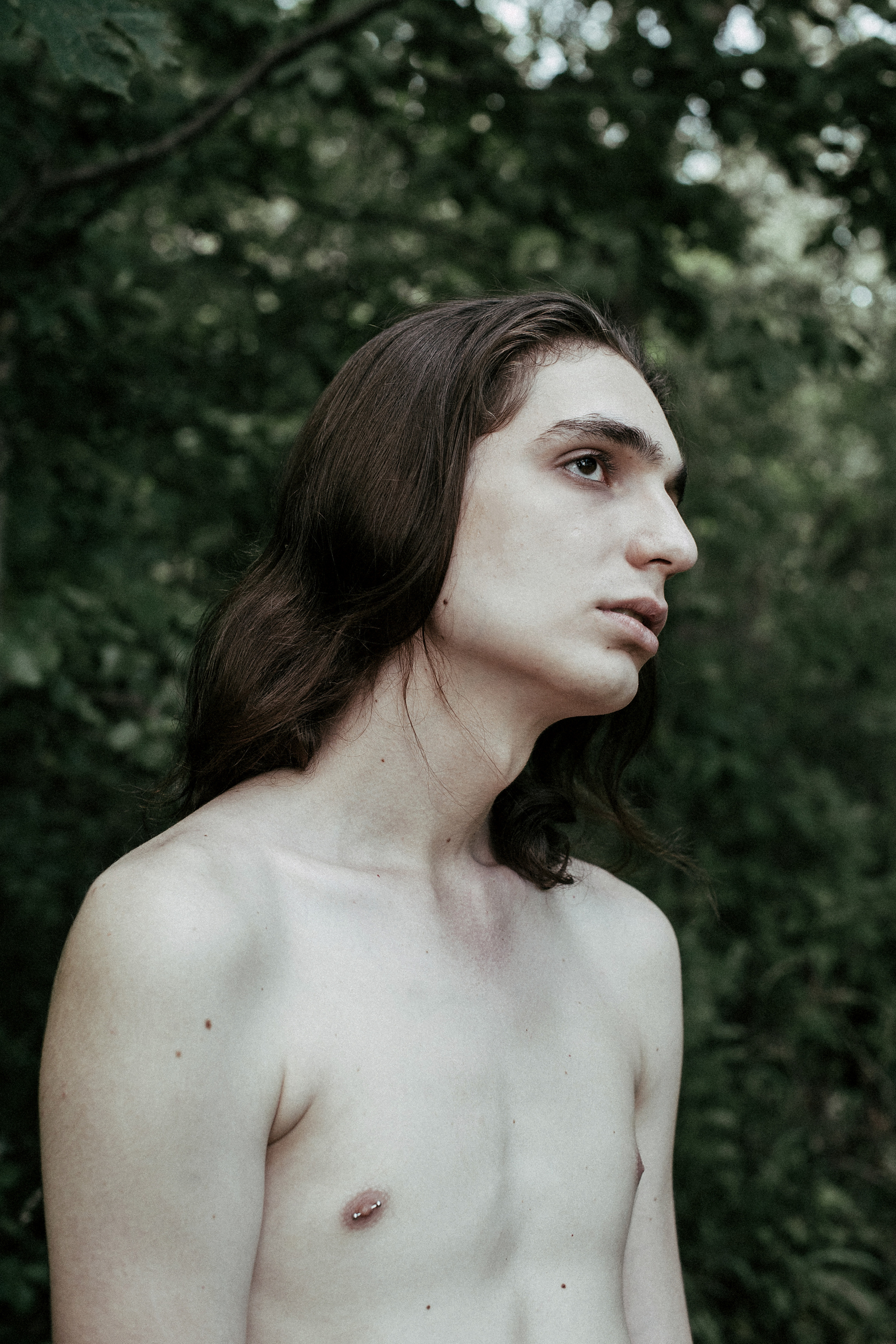 Лев. Сергей Виноградов фотограф Россия Санкт-Петербург