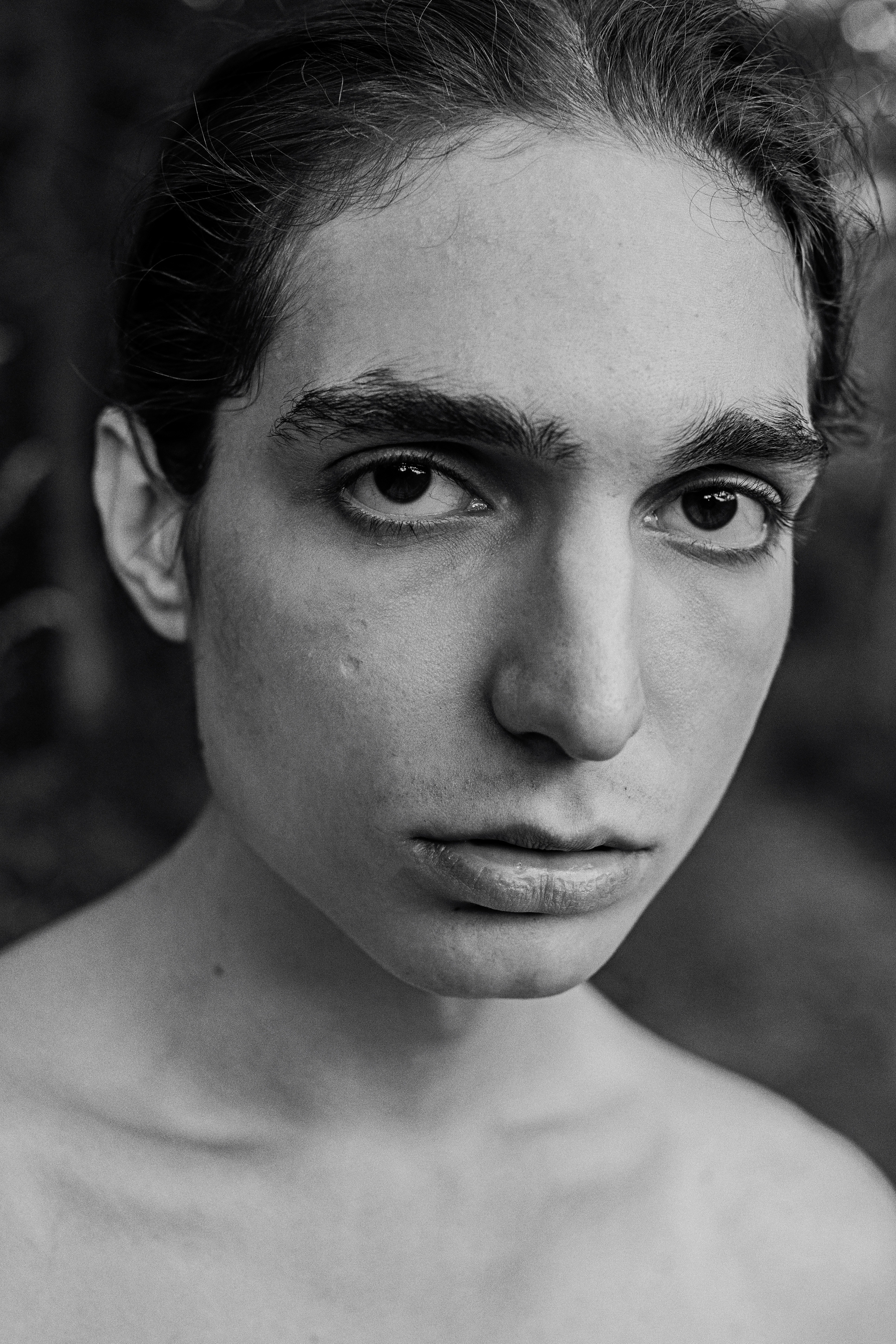 Лев. Сергей Виноградов фотограф Россия Санкт-Петербург