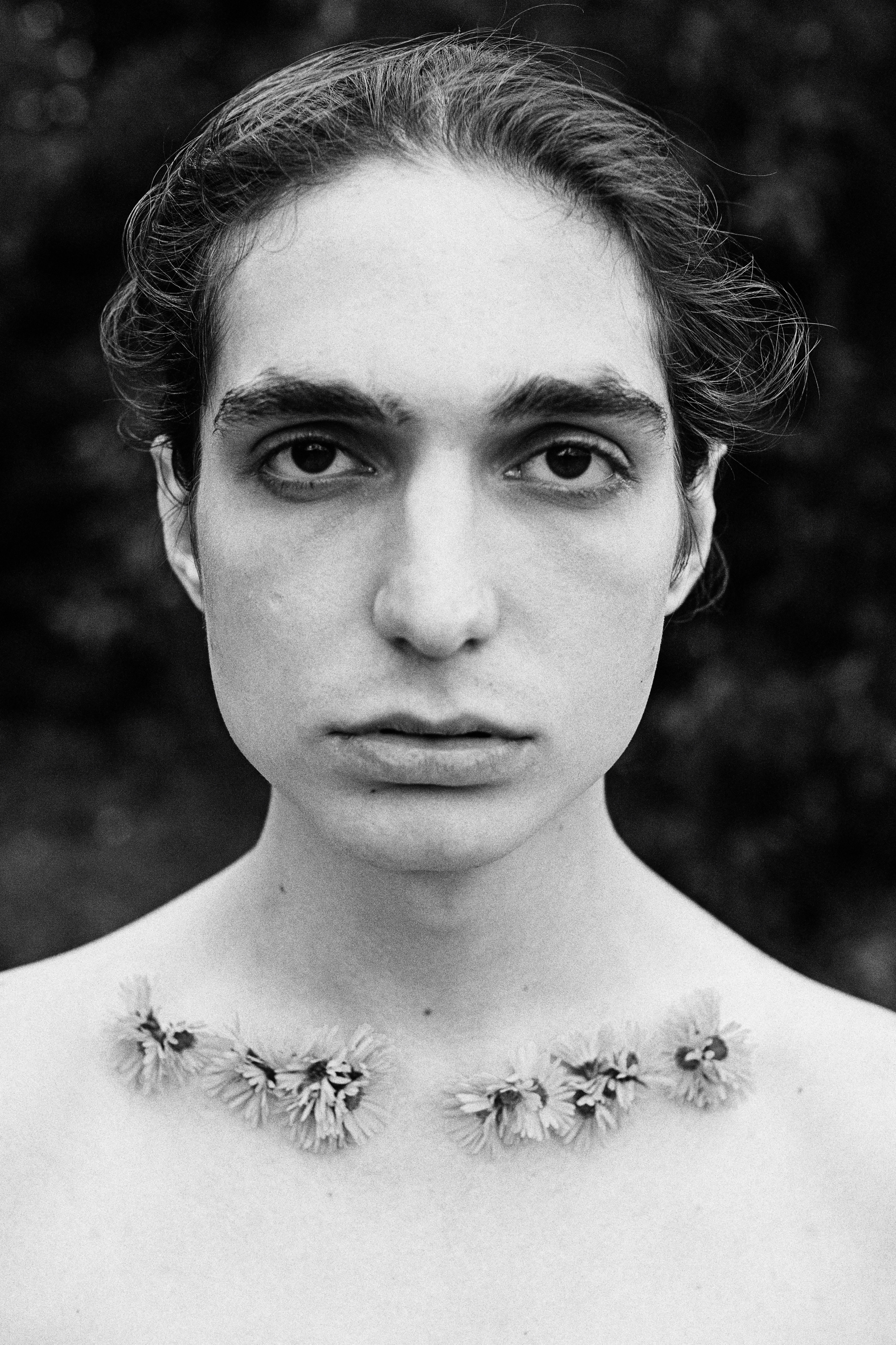 Лев. Сергей Виноградов фотограф Россия Санкт-Петербург