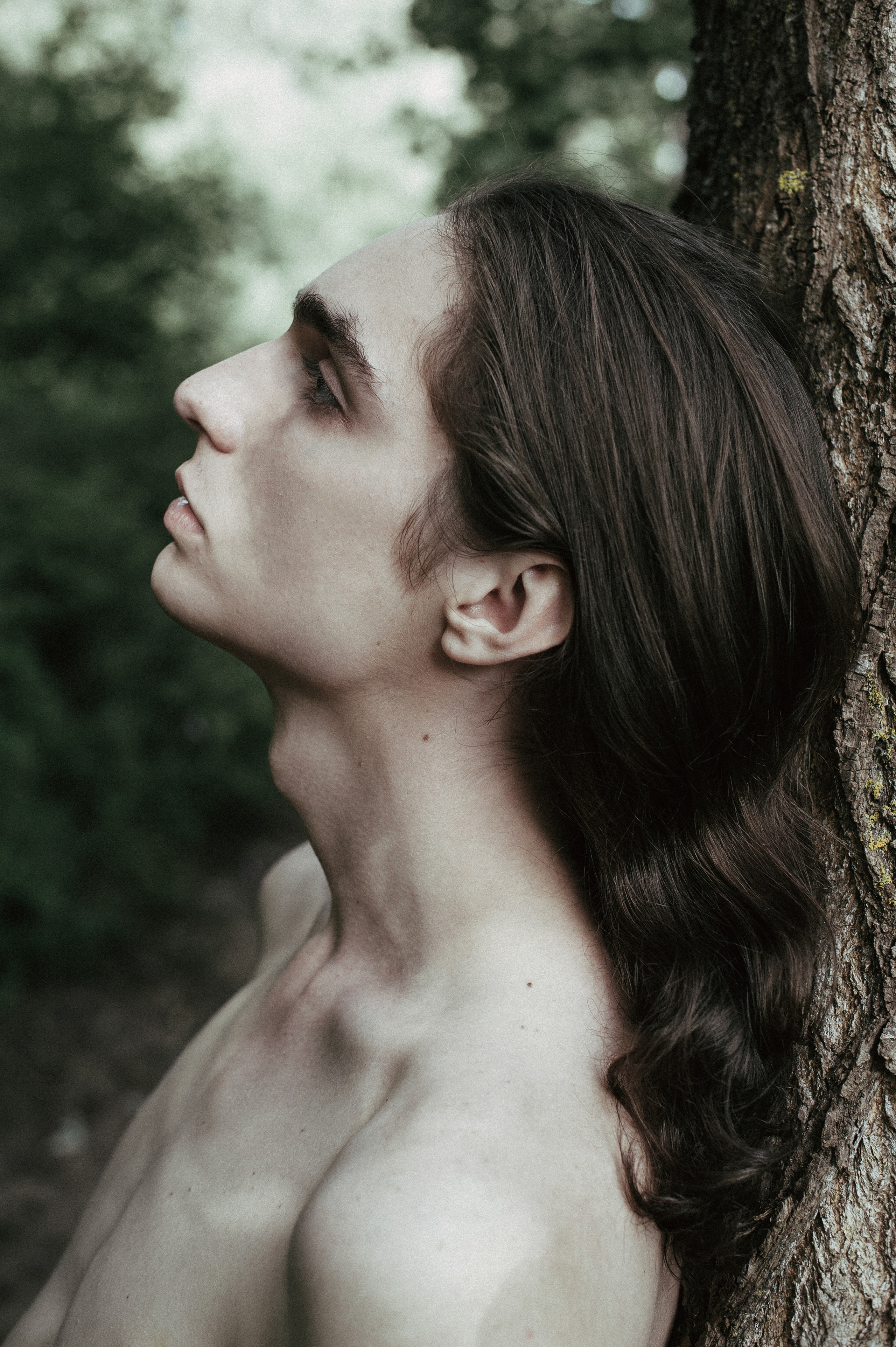 Лев. Сергей Виноградов фотограф Россия Санкт-Петербург