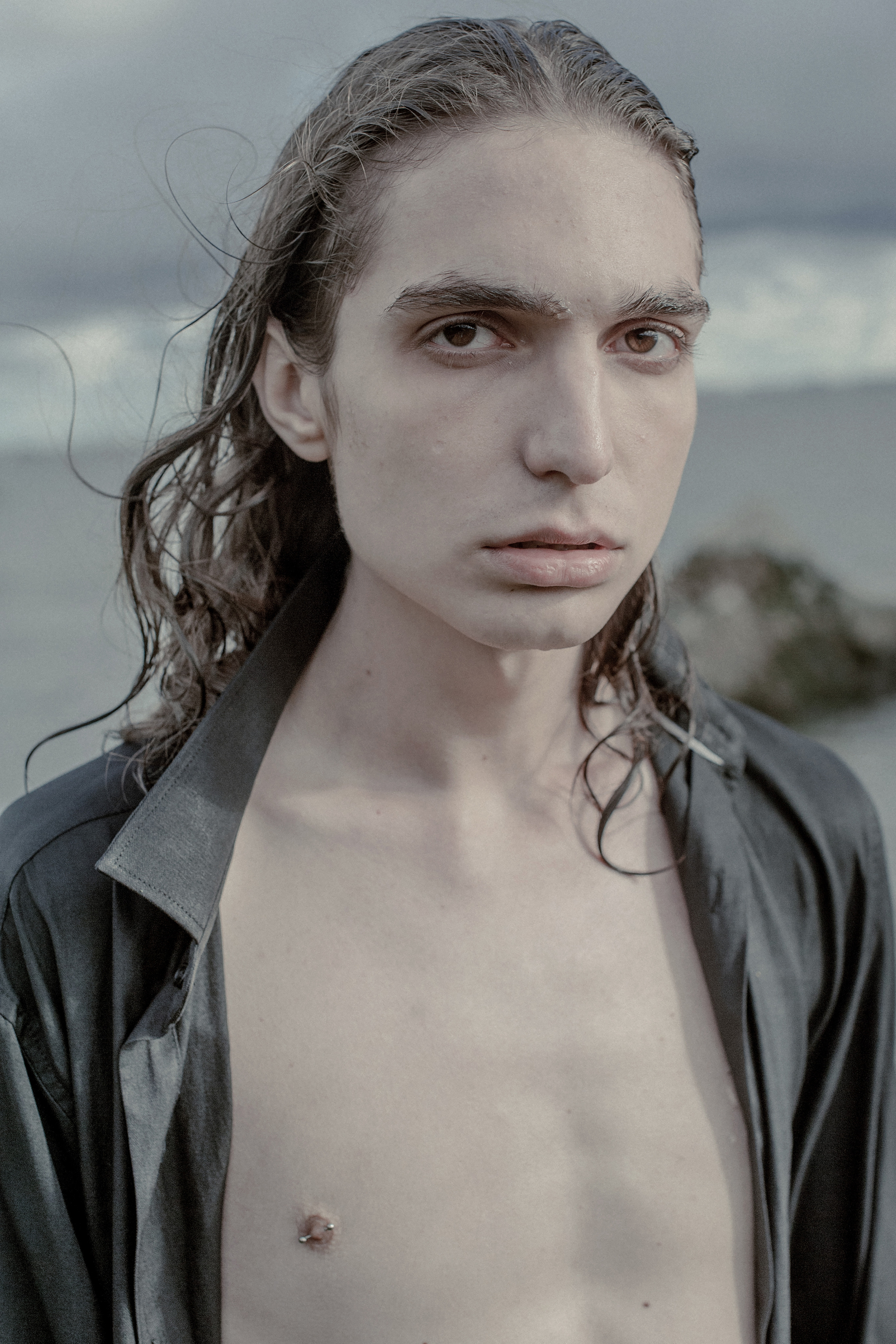 Лев. Сергей Виноградов фотограф Россия Санкт-Петербург