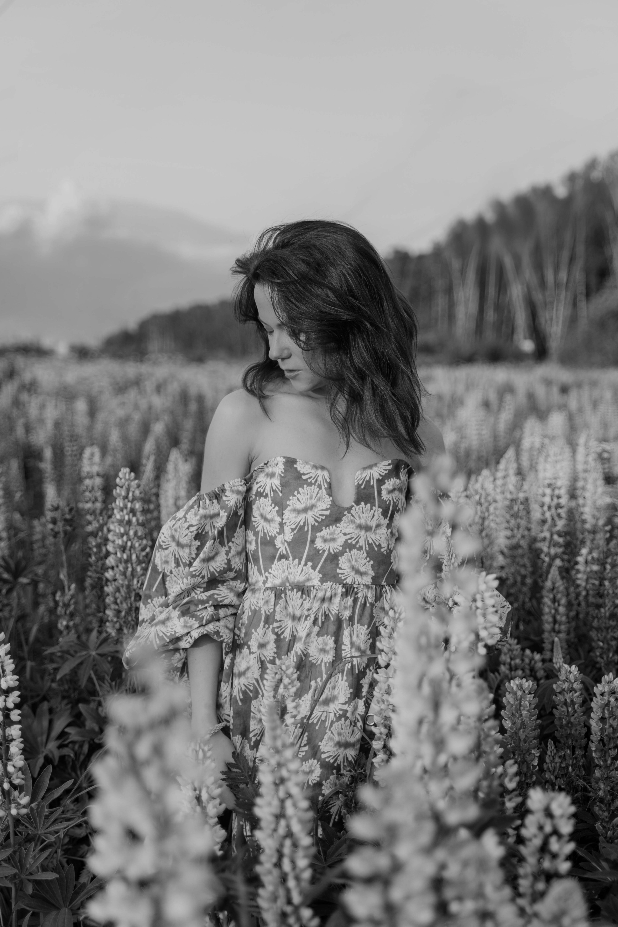 Наташа и люпины. Фотограф и видеограф в Москве и Абу Даби Мария Кулагина