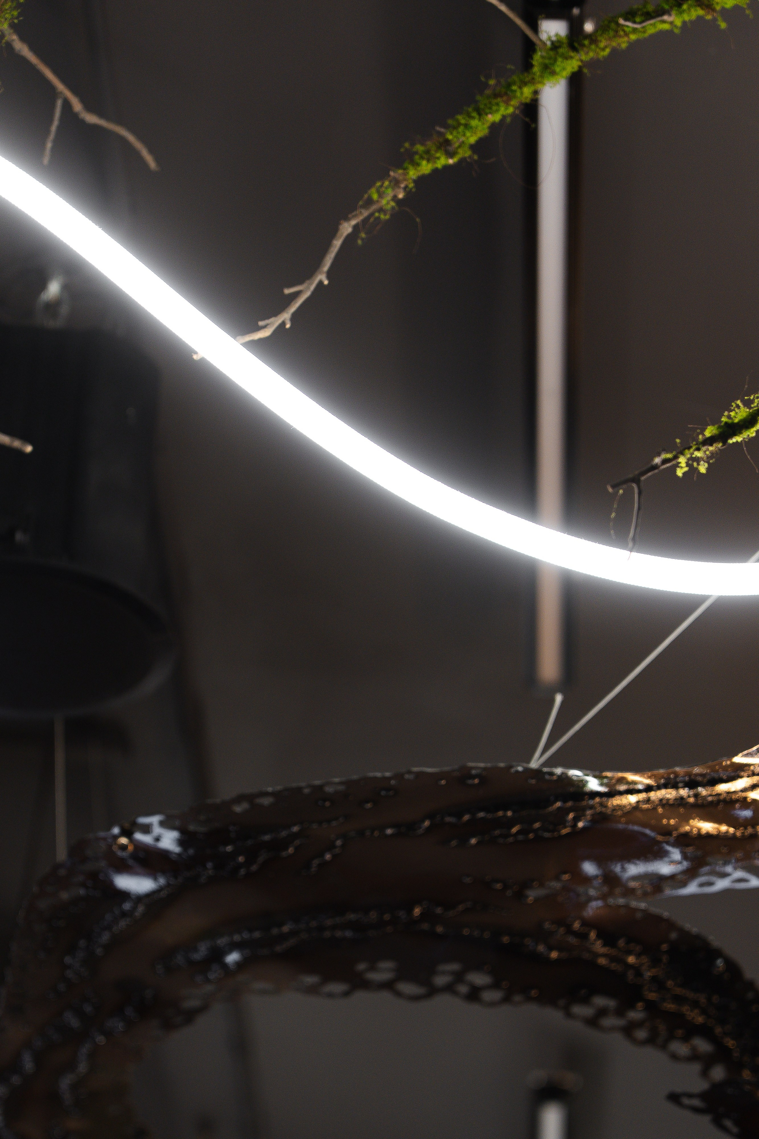 BIG-KEBAB. Фотограф Хабаровск