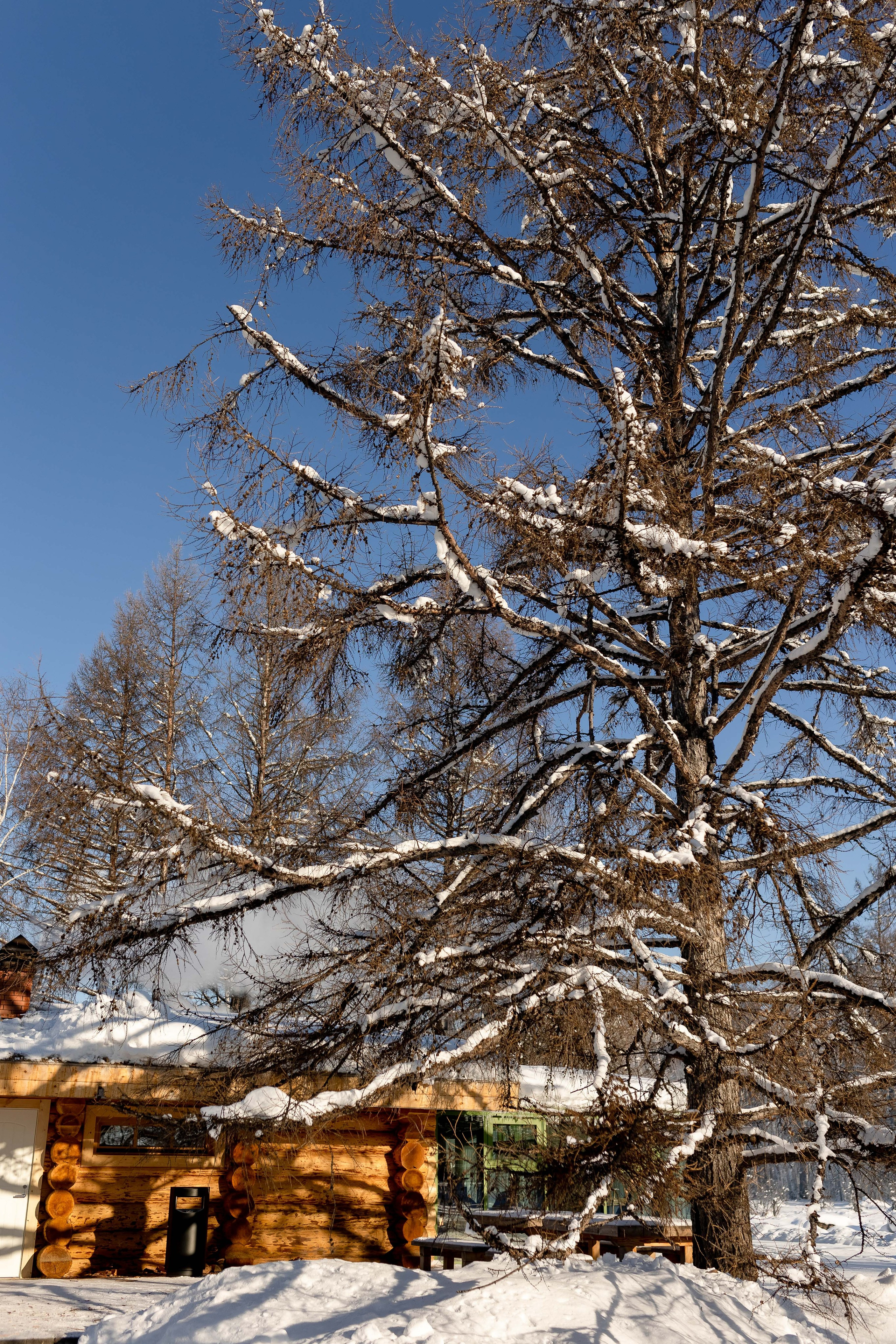 Баня. Главная