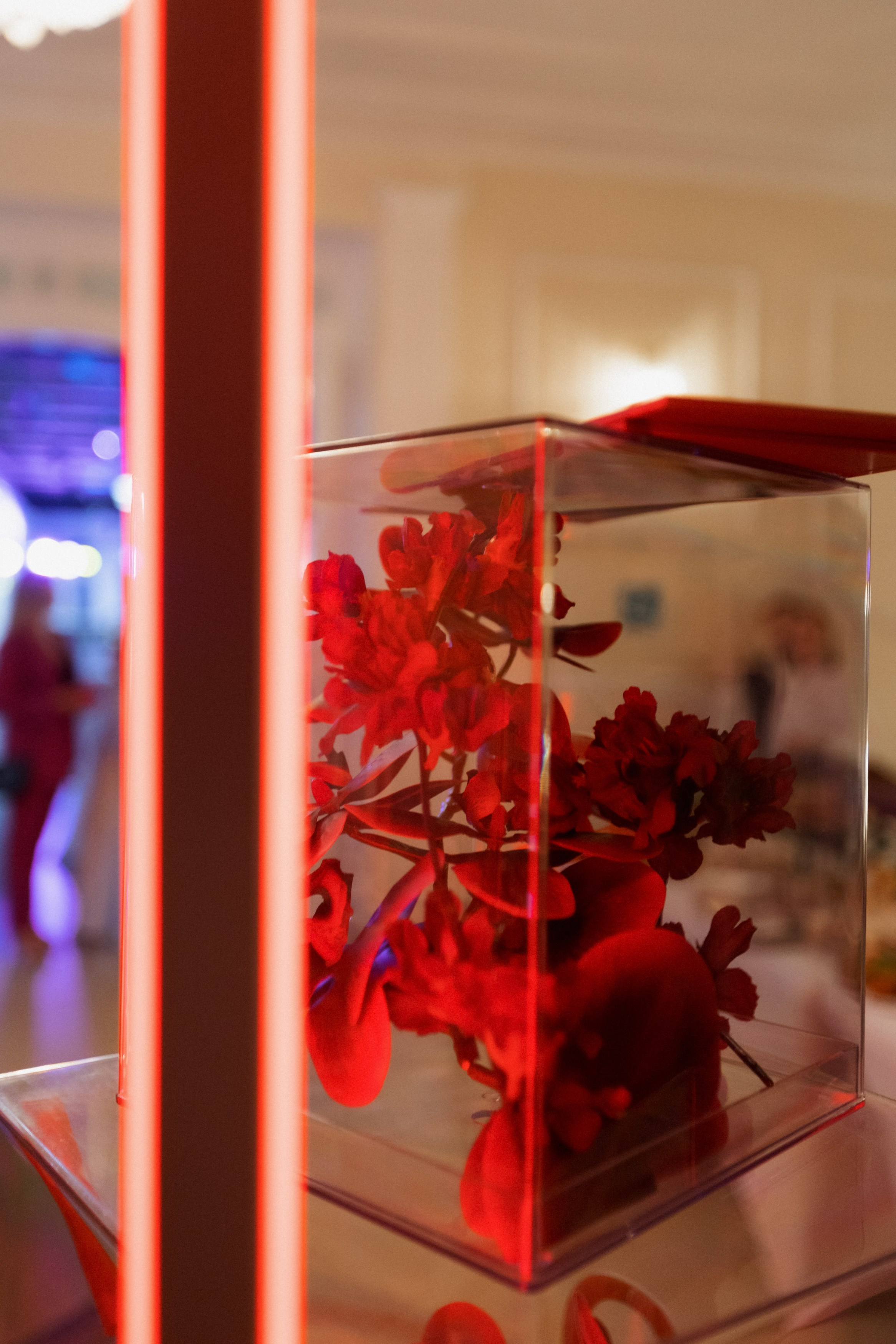 DGD WILD PINK. СВОИ. ФОТООТЧЕТЫ-СОБЫТИЯ-МЕСТА