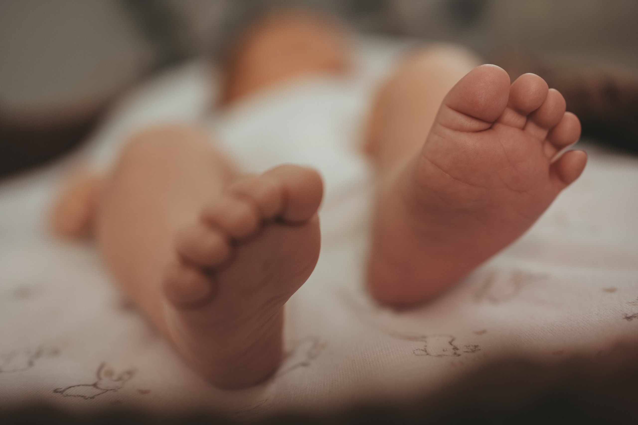 Иван, Мария, Илюша и Майло. Семейный и детский фотограф Плесецк, Мирный Марина Забабурина