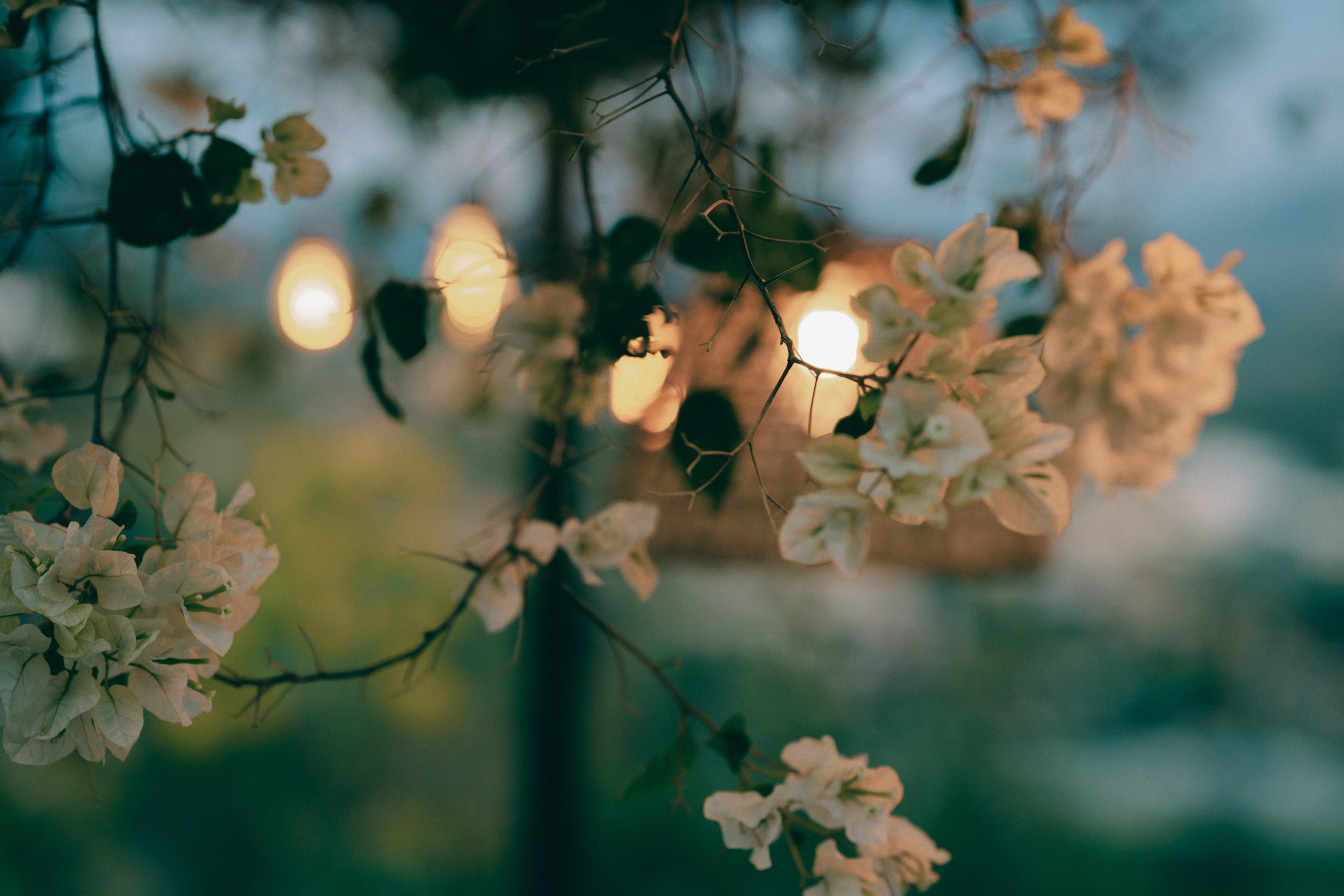 День Рождение Екатерины. Свадебный и семейный фотограф Ирина Чернова