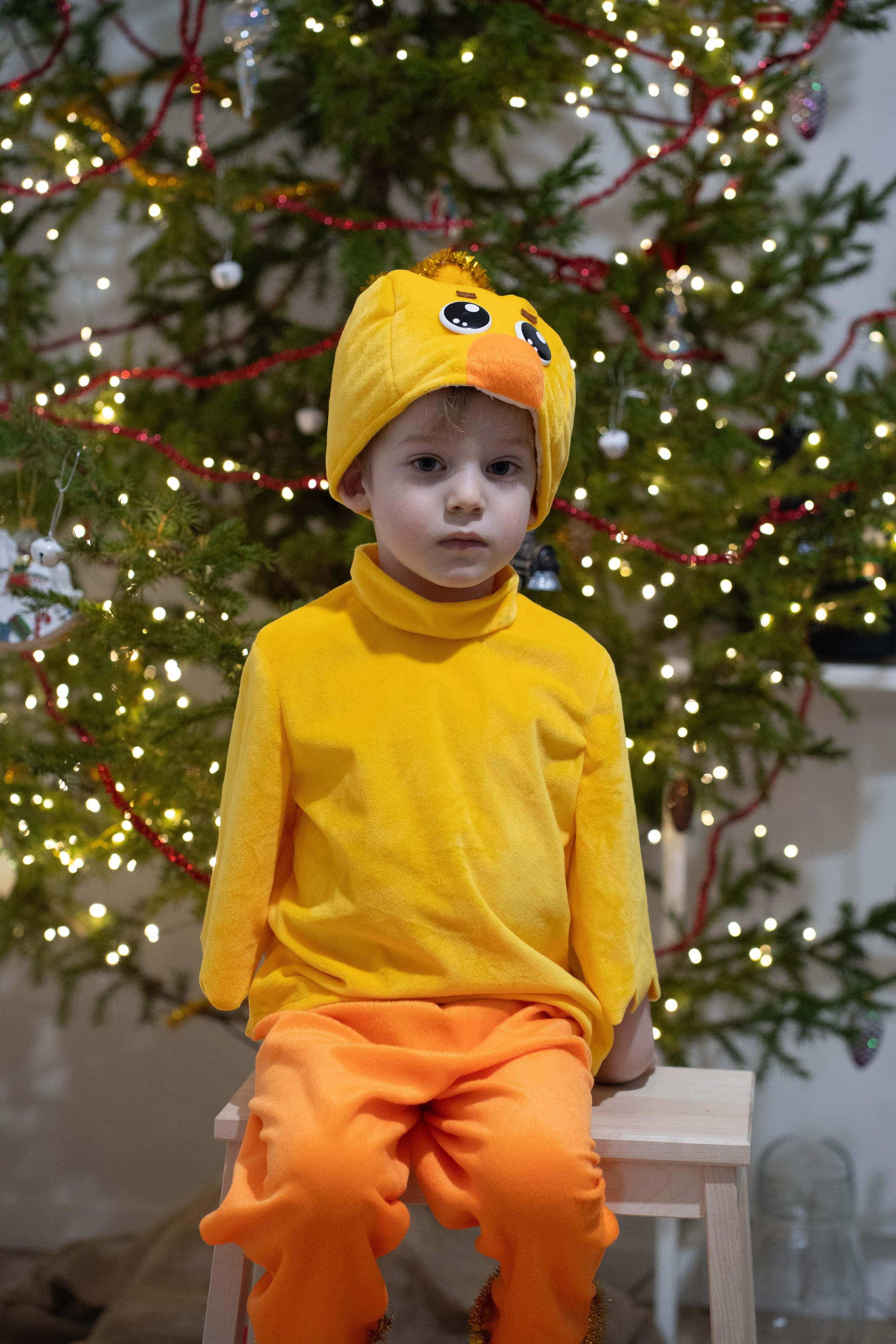 Новый год дома. Алена Коломоец | Фотограф, Мирный, Якутия