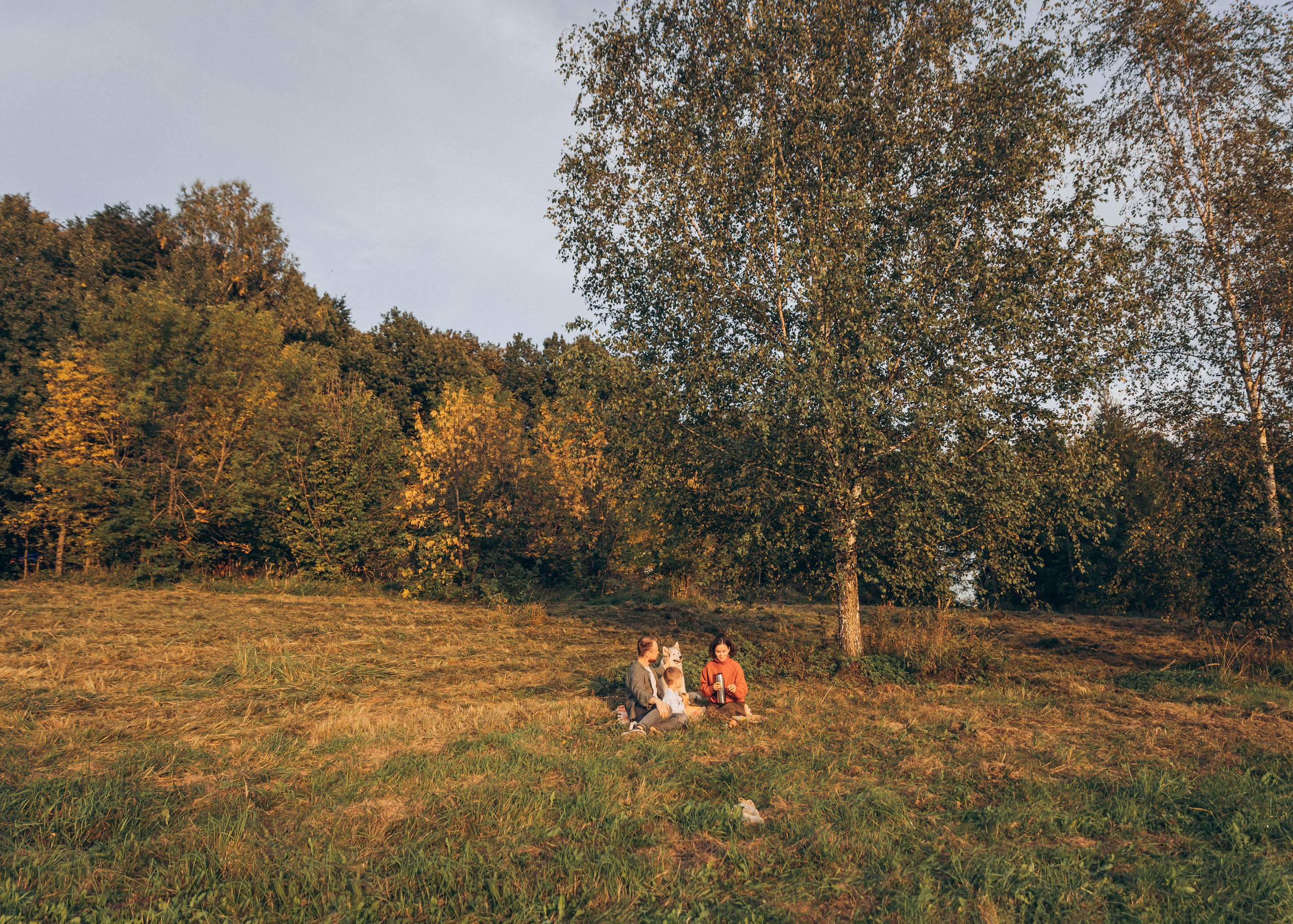 Лена, Дима и Гордей. Семейный фотограф В Москве Александра Дейкун