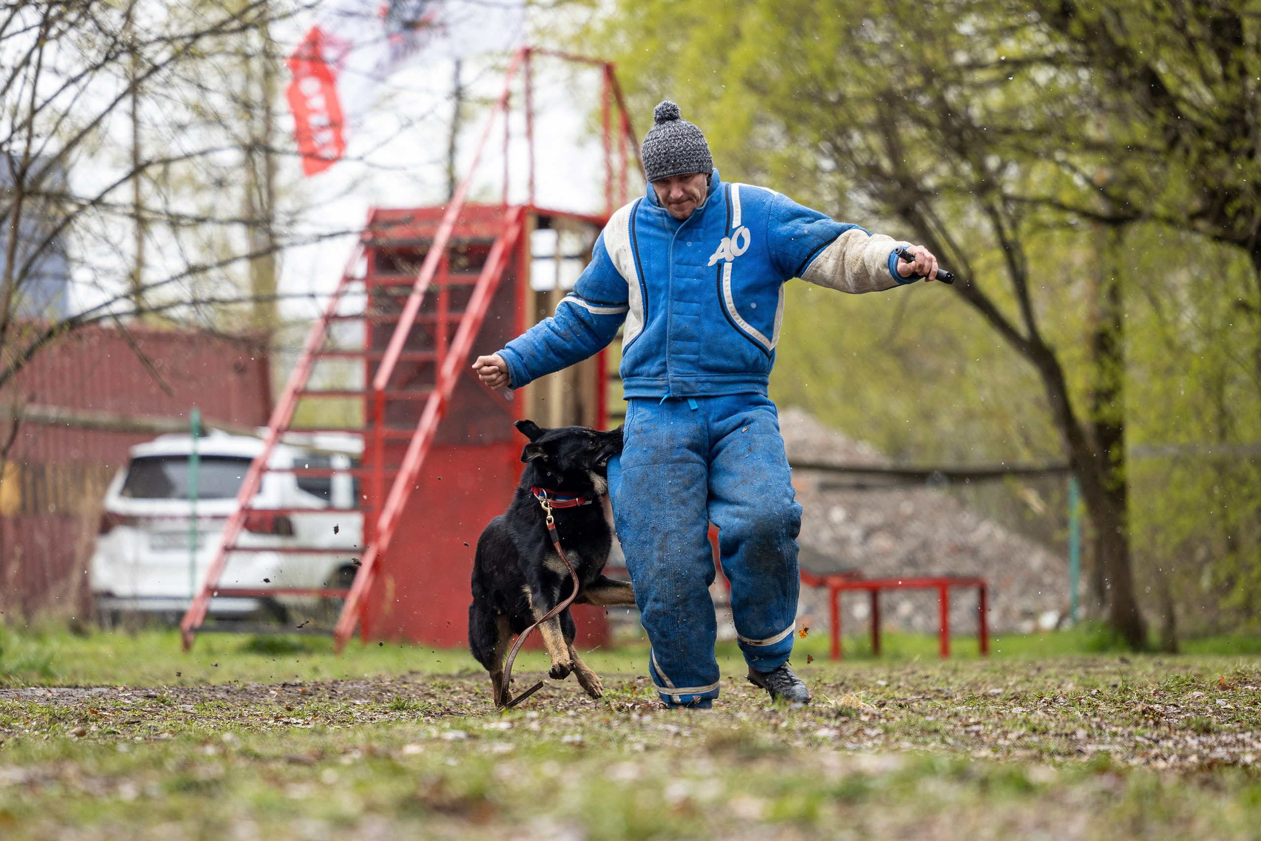 Квалификационные состязания по мондьорингу г. Вологда 11.05.24. Фотограф-анималист Анна Маринич