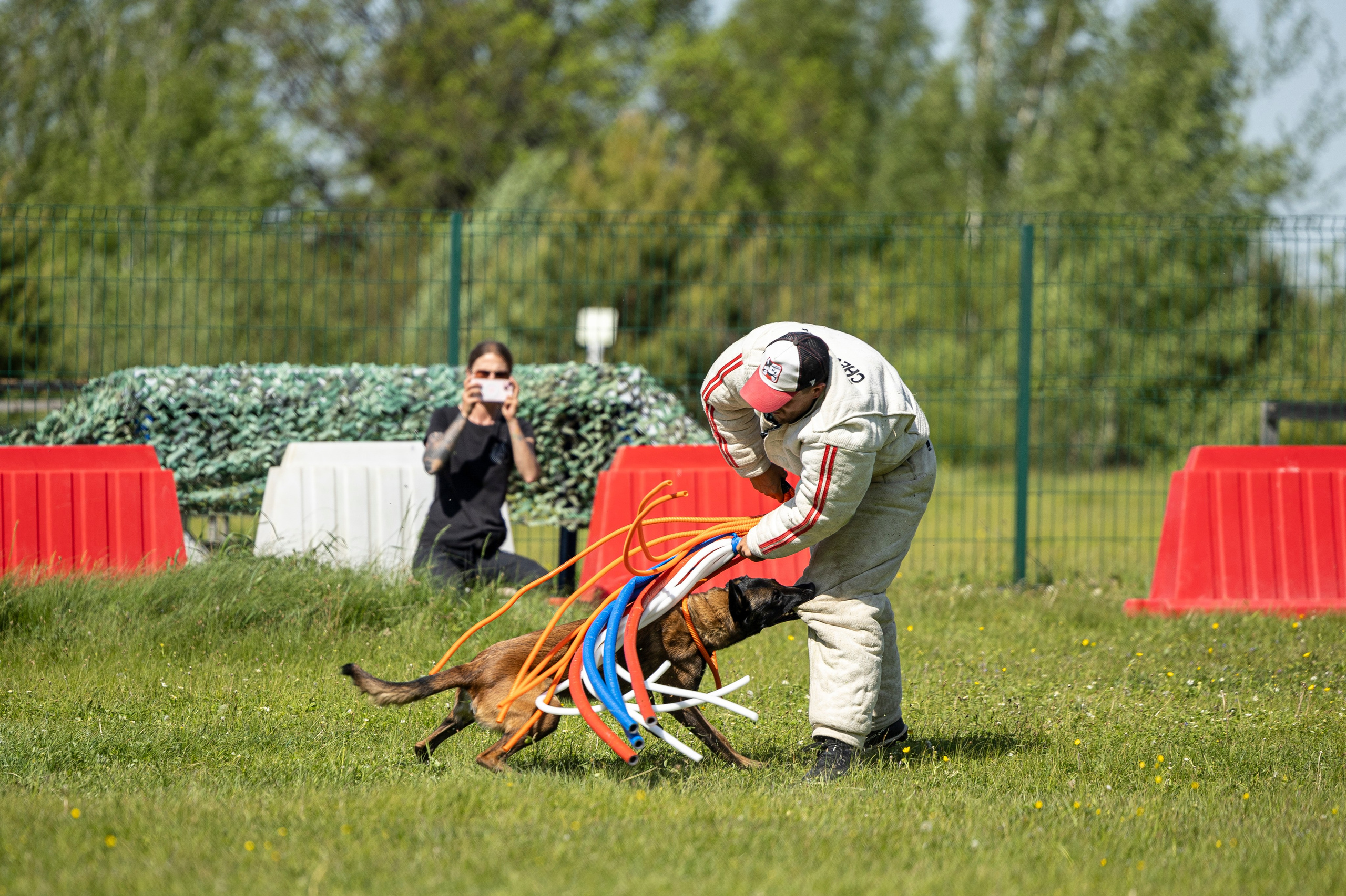 Испытания по мондьорингу в Нижнем Новгороде. Фотограф-анималист Анна Маринич