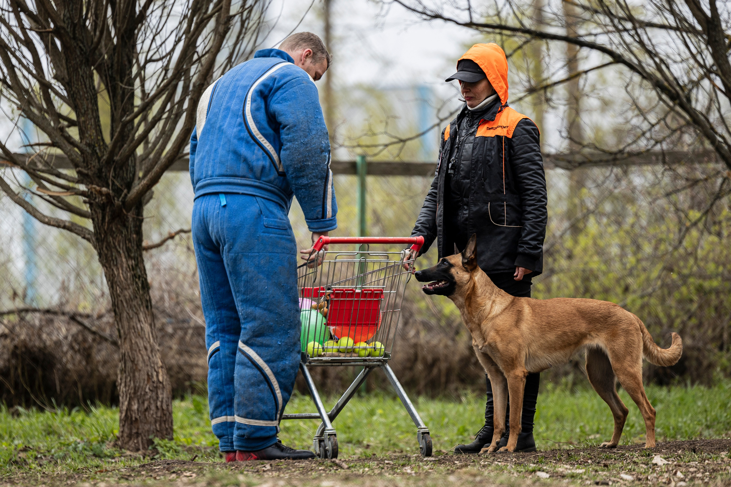 Квалификационные состязания по мондьорингу г. Вологда 11.05.24. Фотограф-анималист Анна Маринич
