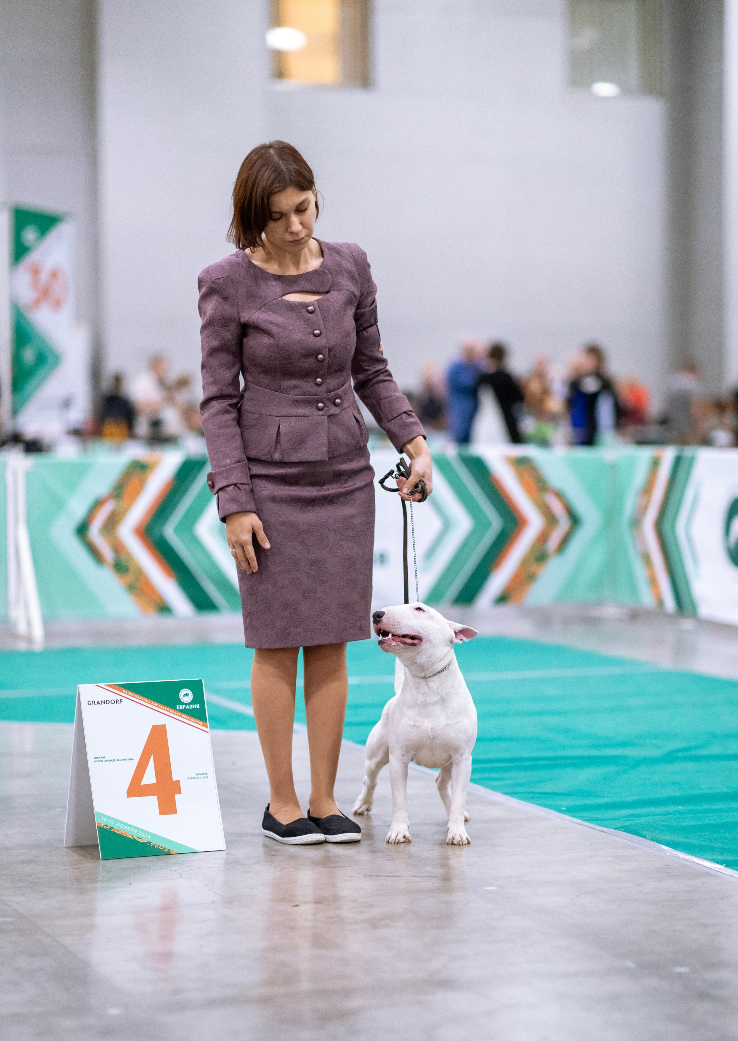 Евразия. Фотограф — анималист Татьяна Ли