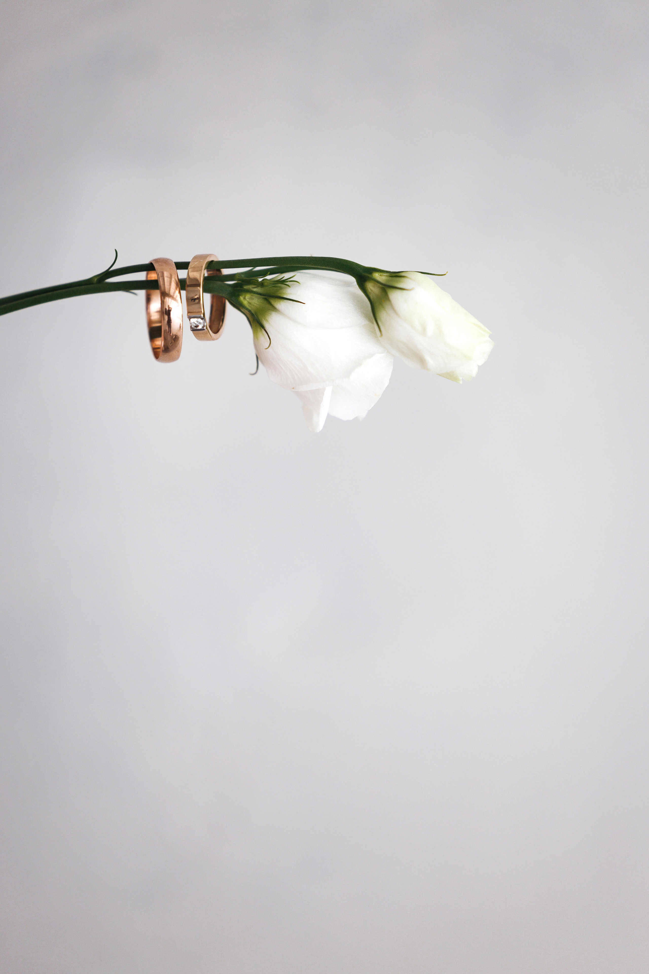 Антон и Олеся. Организатор мероприятий в Абакане I Ольга Петухова