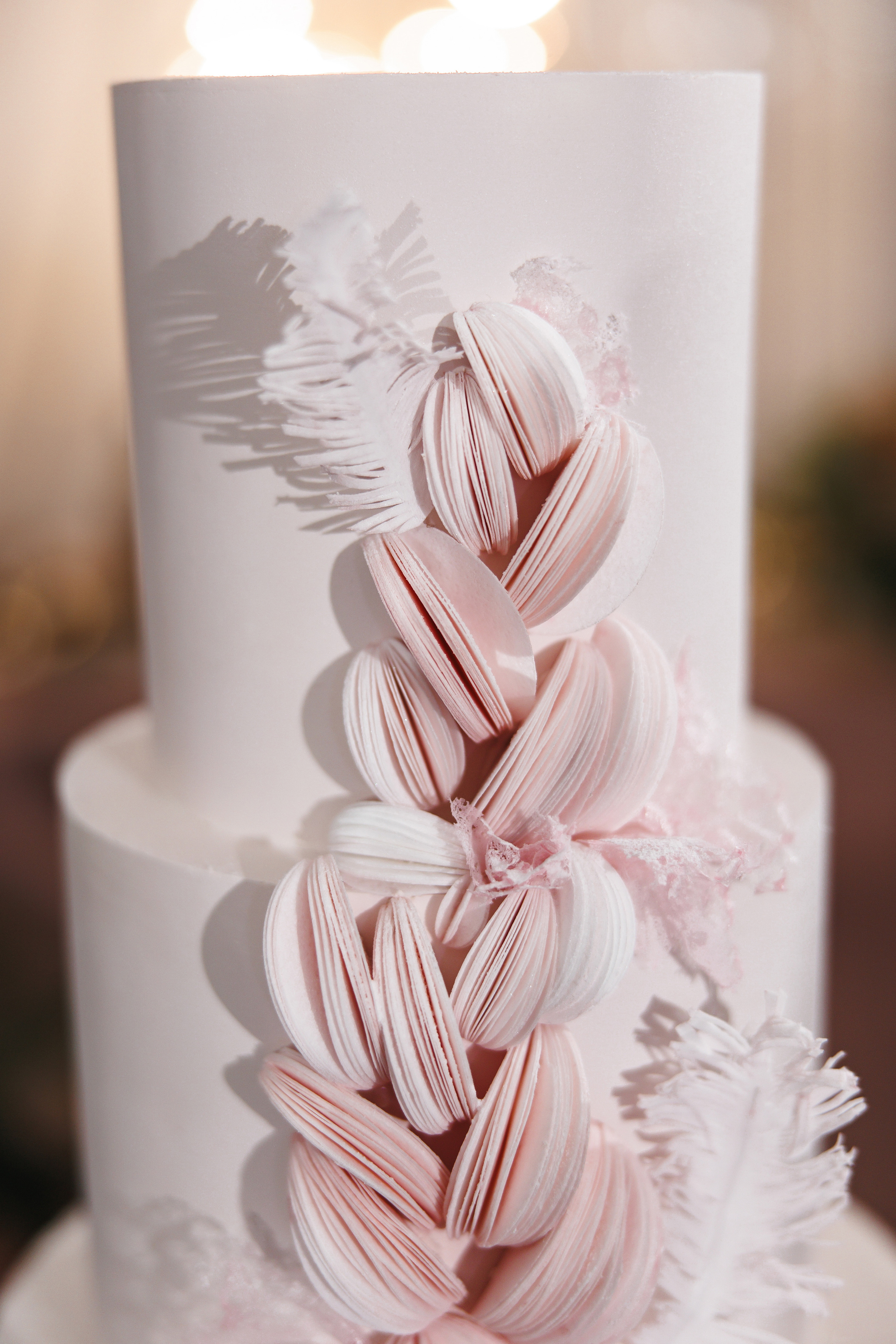 Антон и Олеся. Организатор мероприятий в Абакане I Ольга Петухова