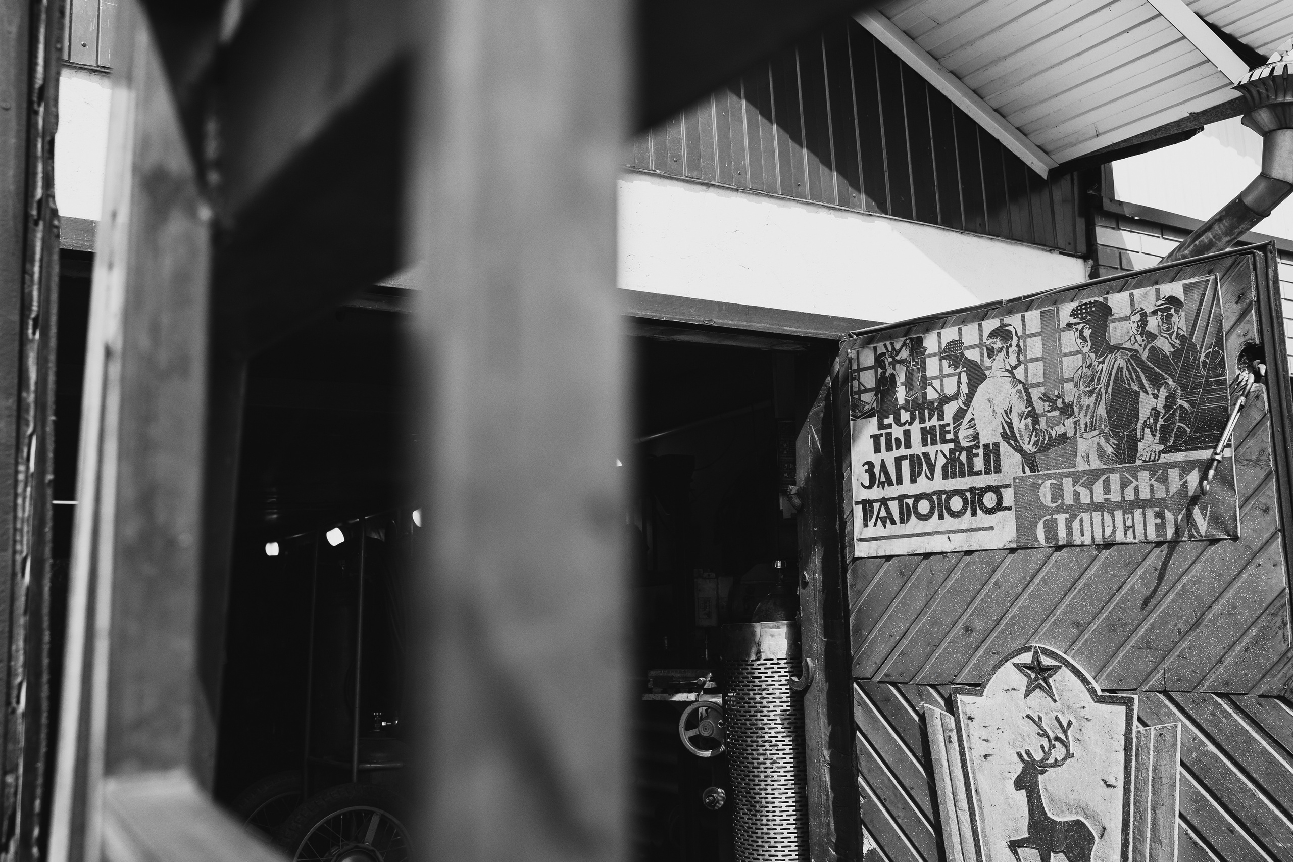 Антон и Олеся. Организатор мероприятий в Абакане I Ольга Петухова