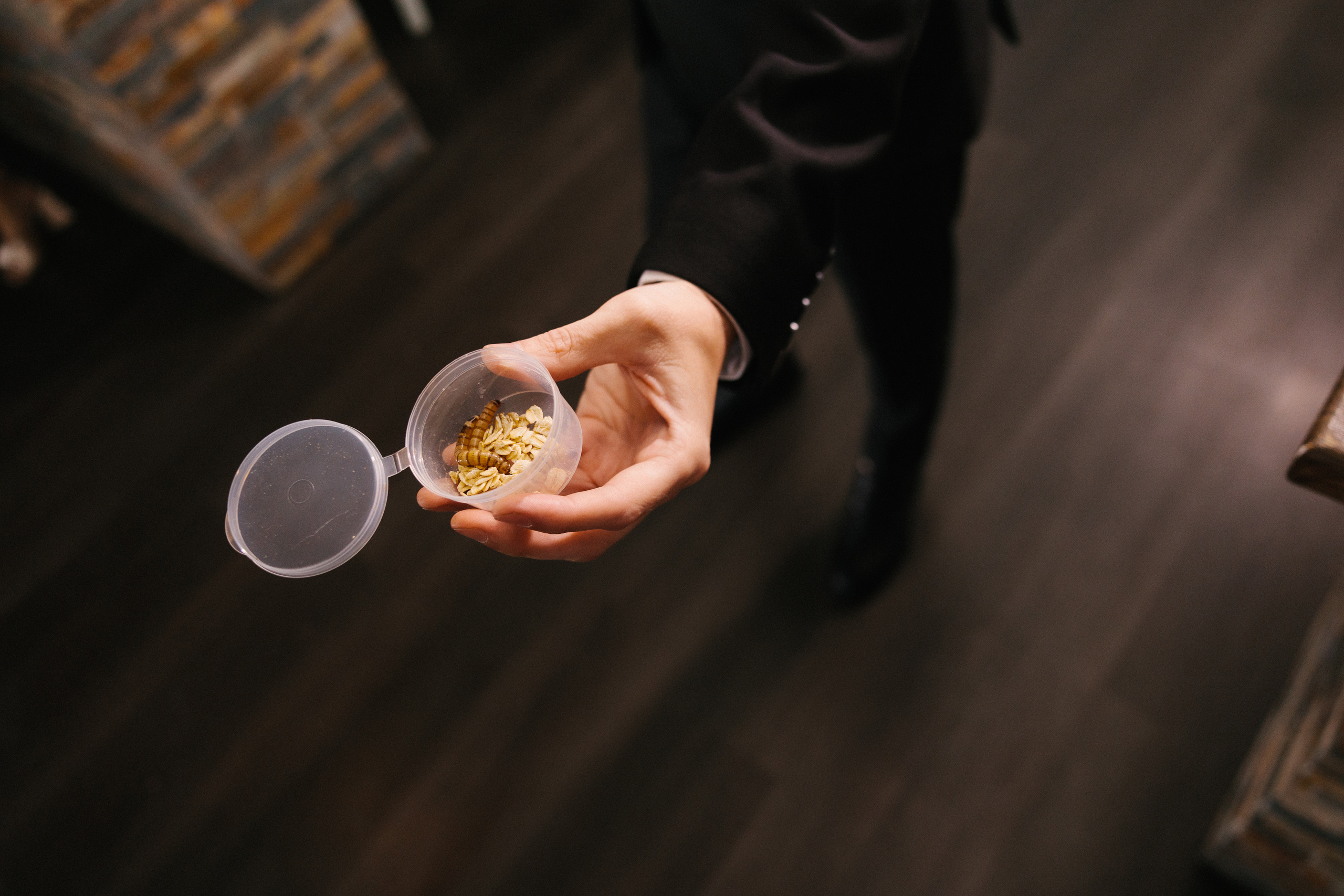 Рома и Полина. Организатор мероприятий в Абакане I Ольга Петухова