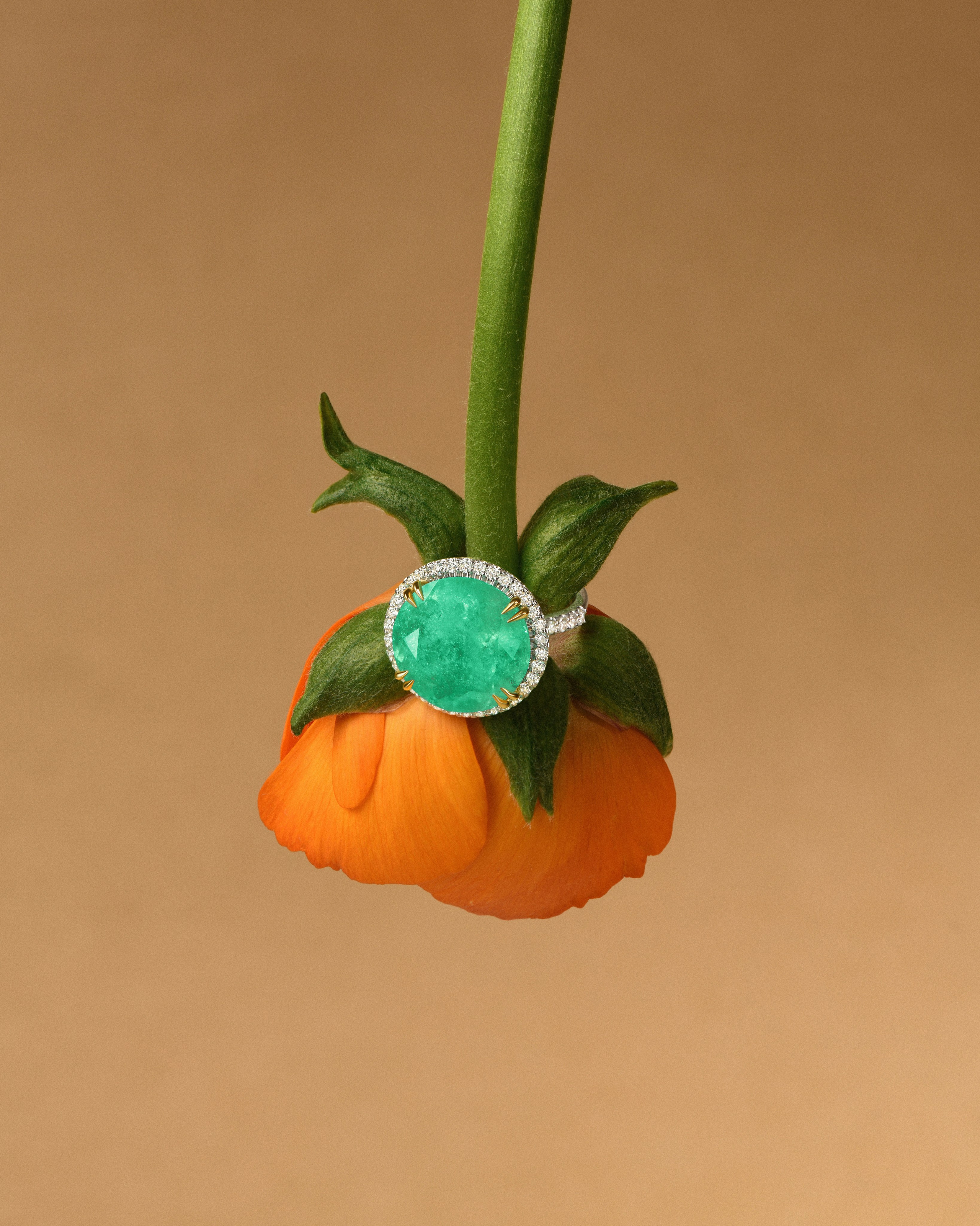 фотосъемка ювелирных изделий