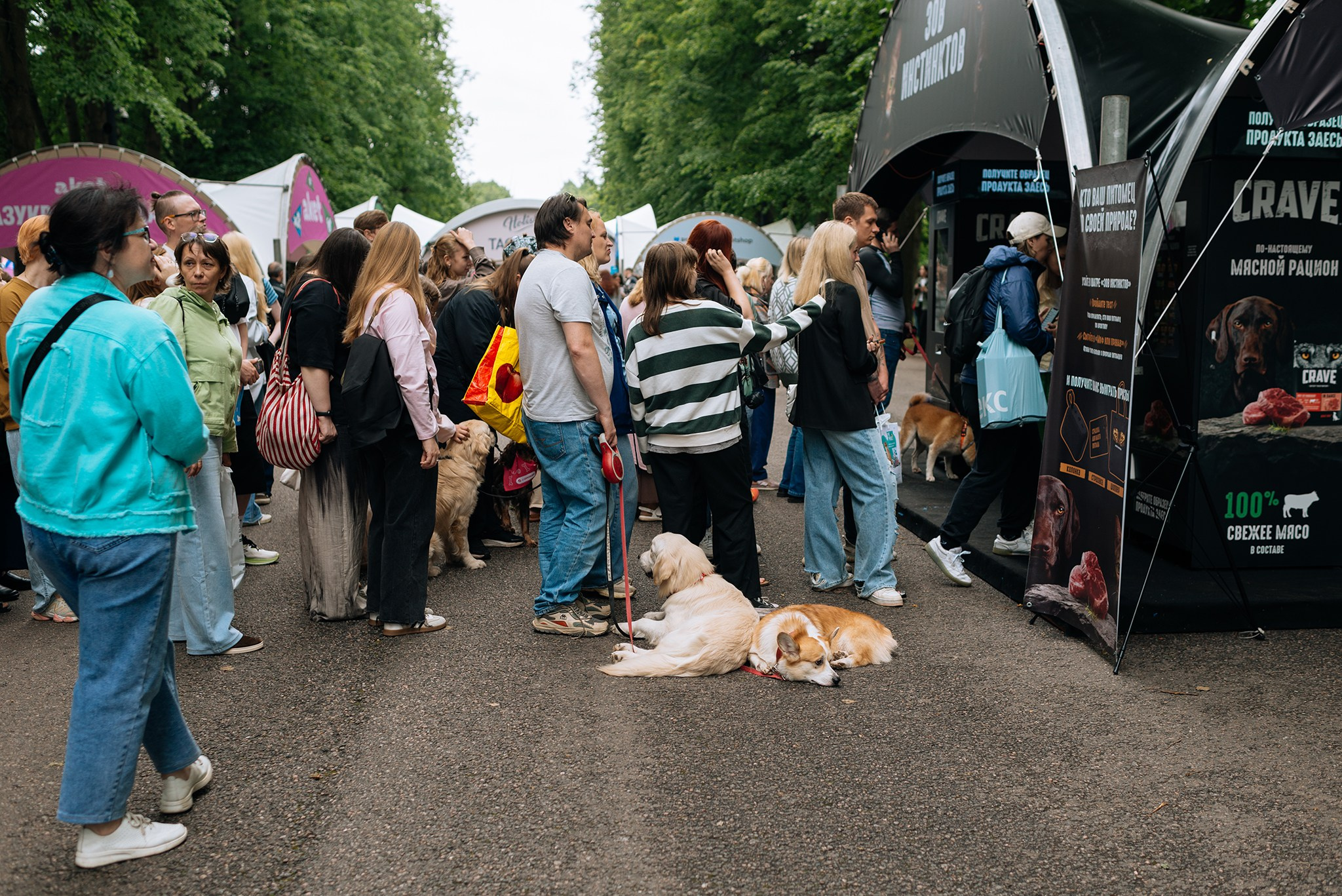 PETSHOP DAYS. Июнь 26. Репортажный фотограф в Санкт-Петербурге Анастасия Клёпова