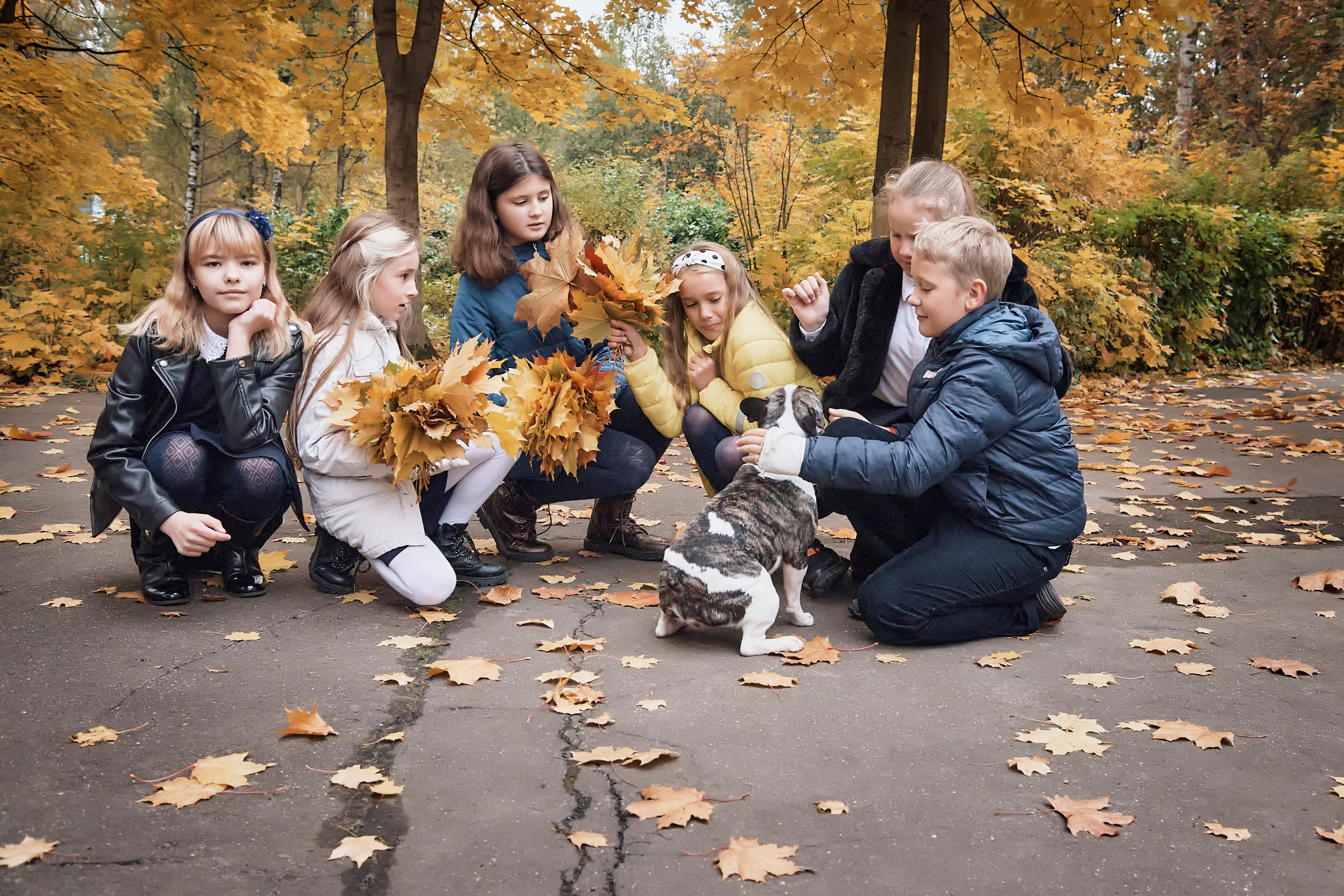 Дружный и веселый 4Д (Гимназия 13, Одинцово). Школьный и семейный фотограф, Одинцово