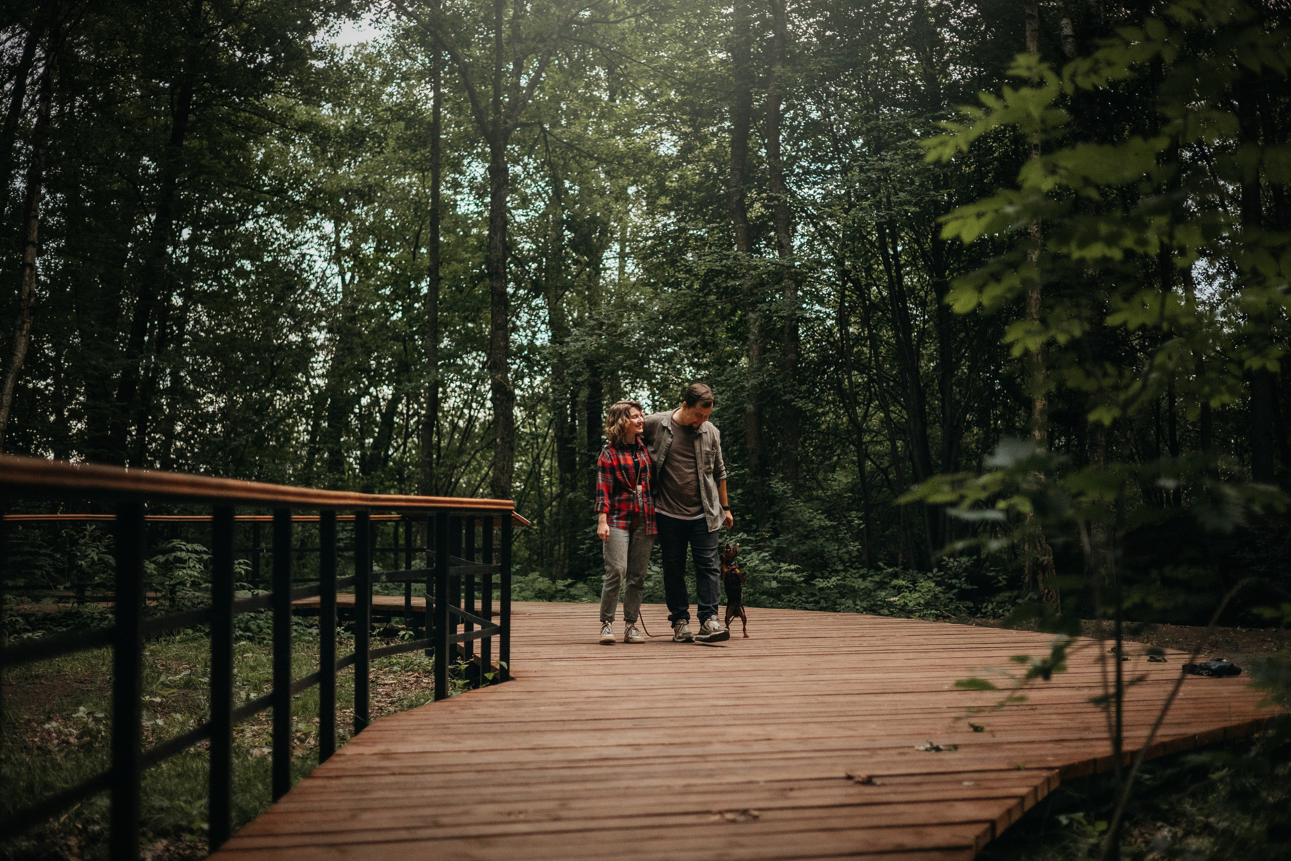 Сириус и его семья. Фотограф — Анималист | Санкт-Петербург