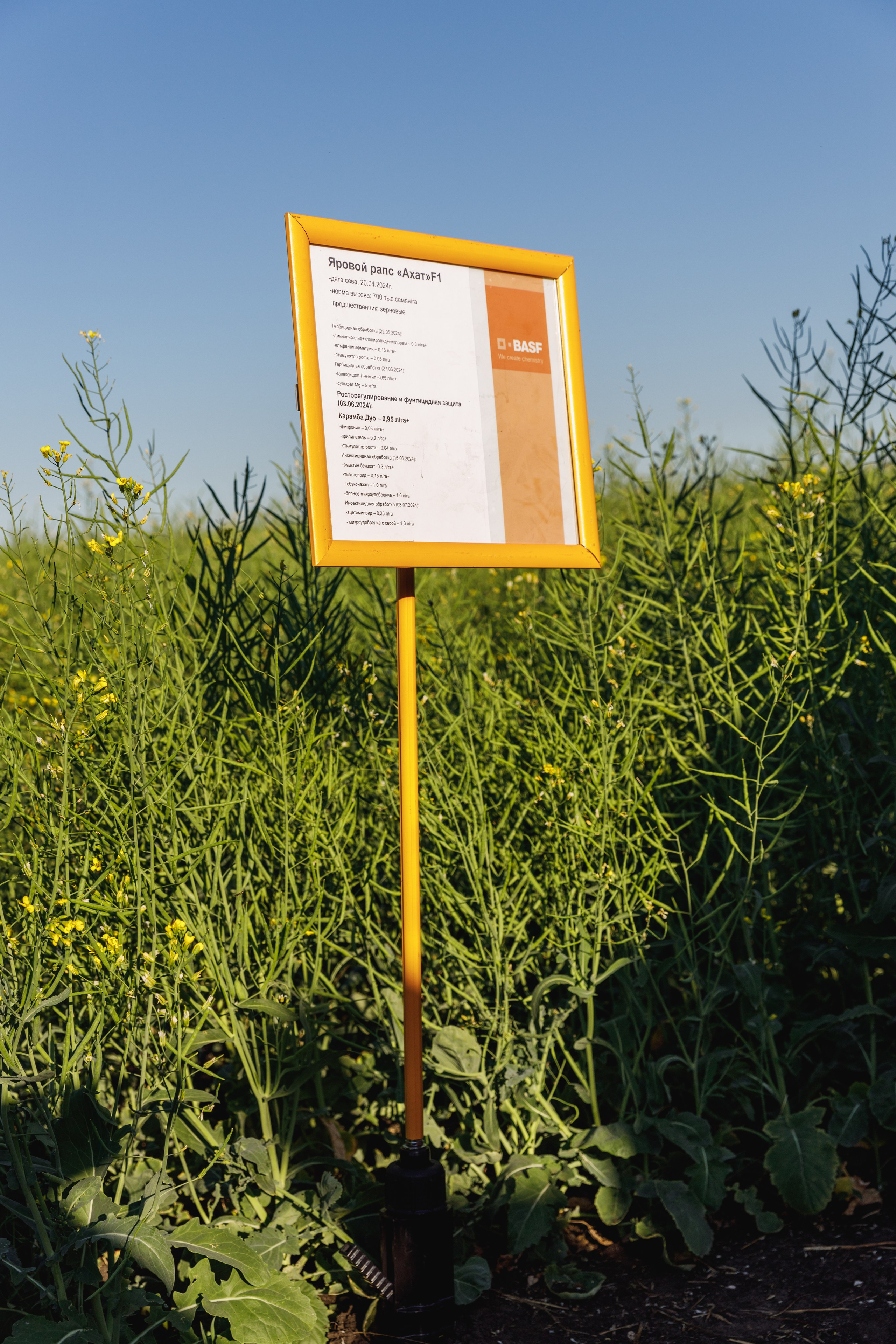 BASF. Конференция 2024. Фотограф Липецк. Фотограф в Липецке Татьяна Минаева. Портретный фотограф Липецк. Свадебный фотограф Липецк. Бизнес фотограф Липецк