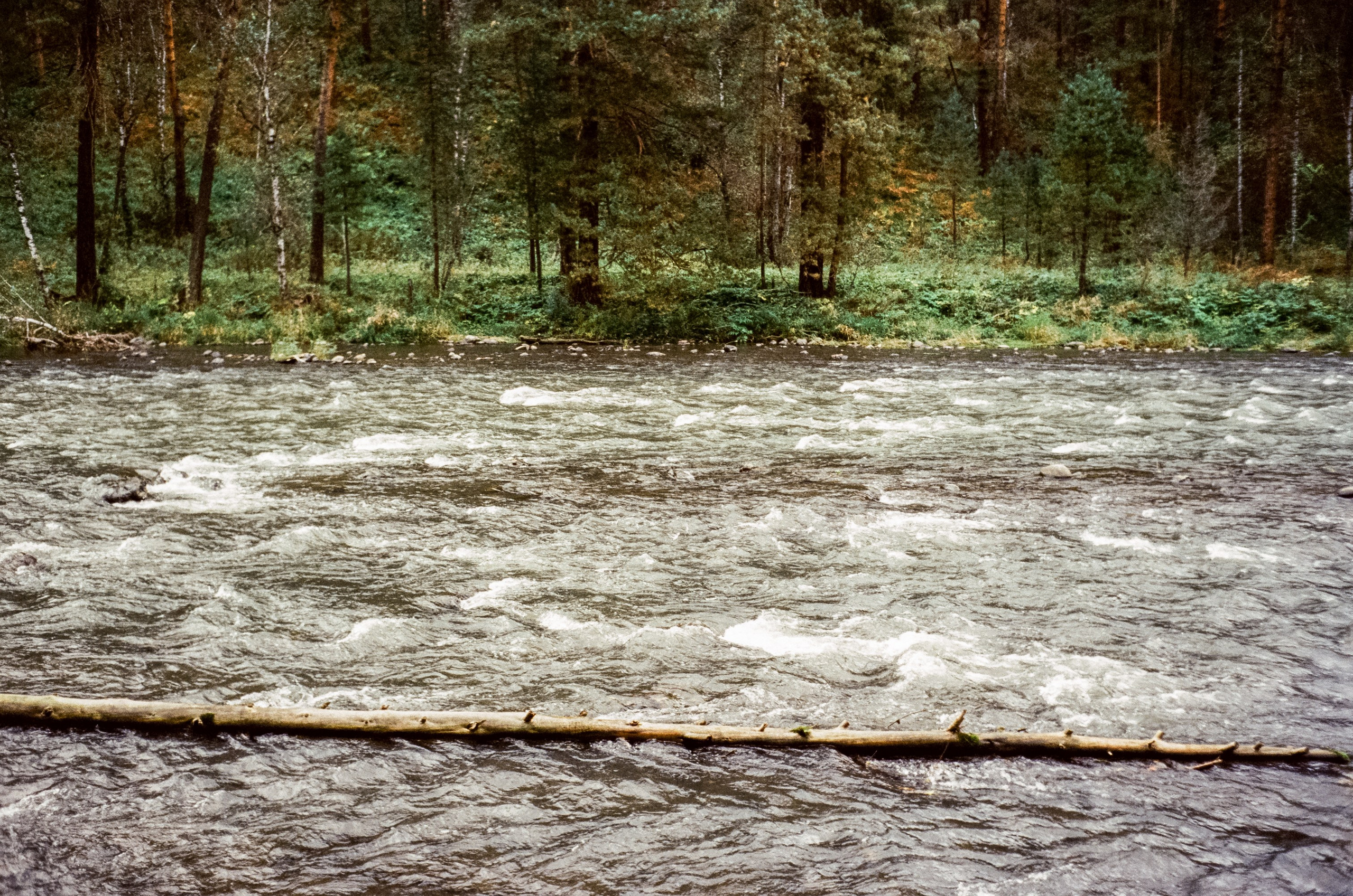 Горный Алтай на пленку