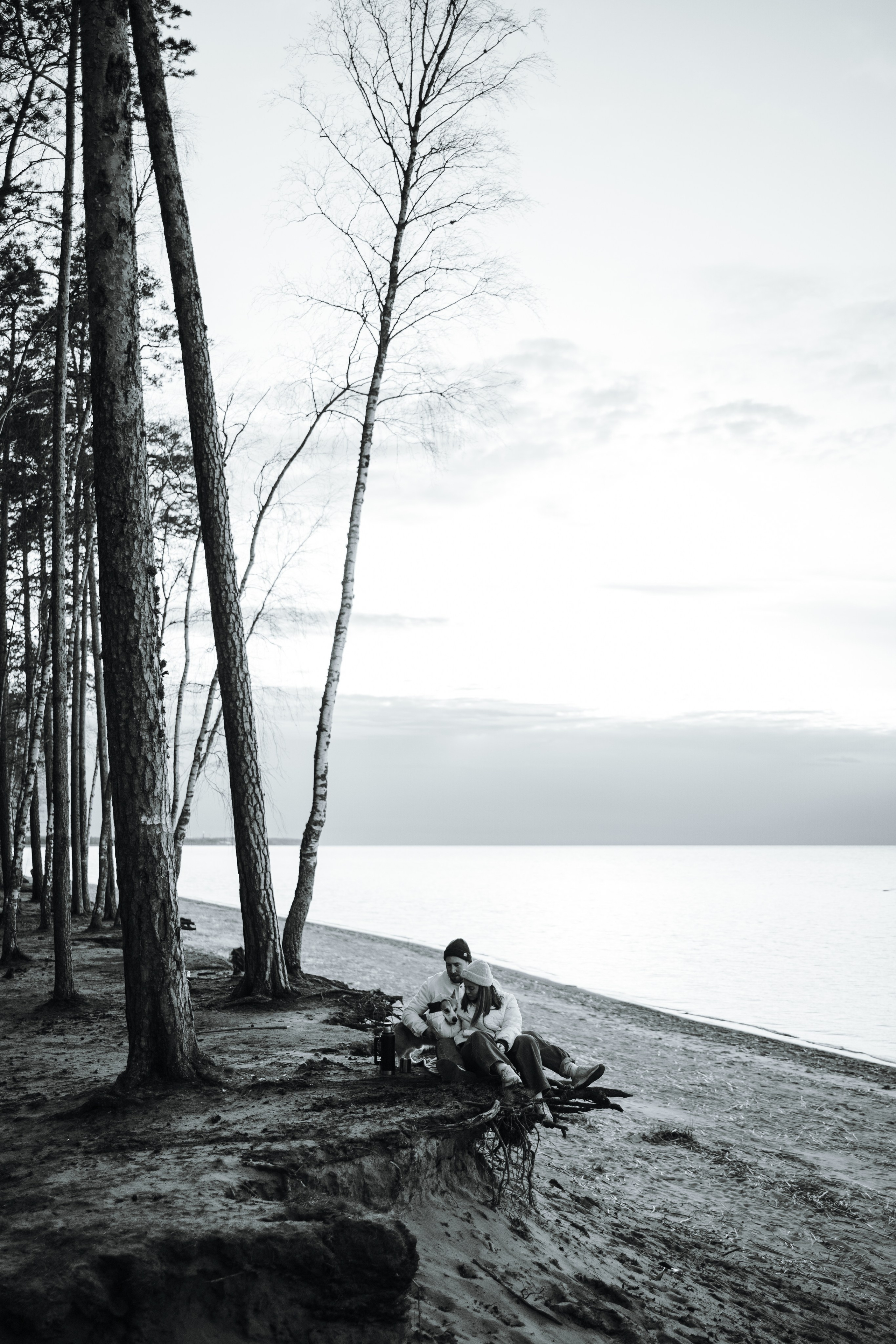 Найт и его семья. Фотограф — Анималист | Санкт-Петербург