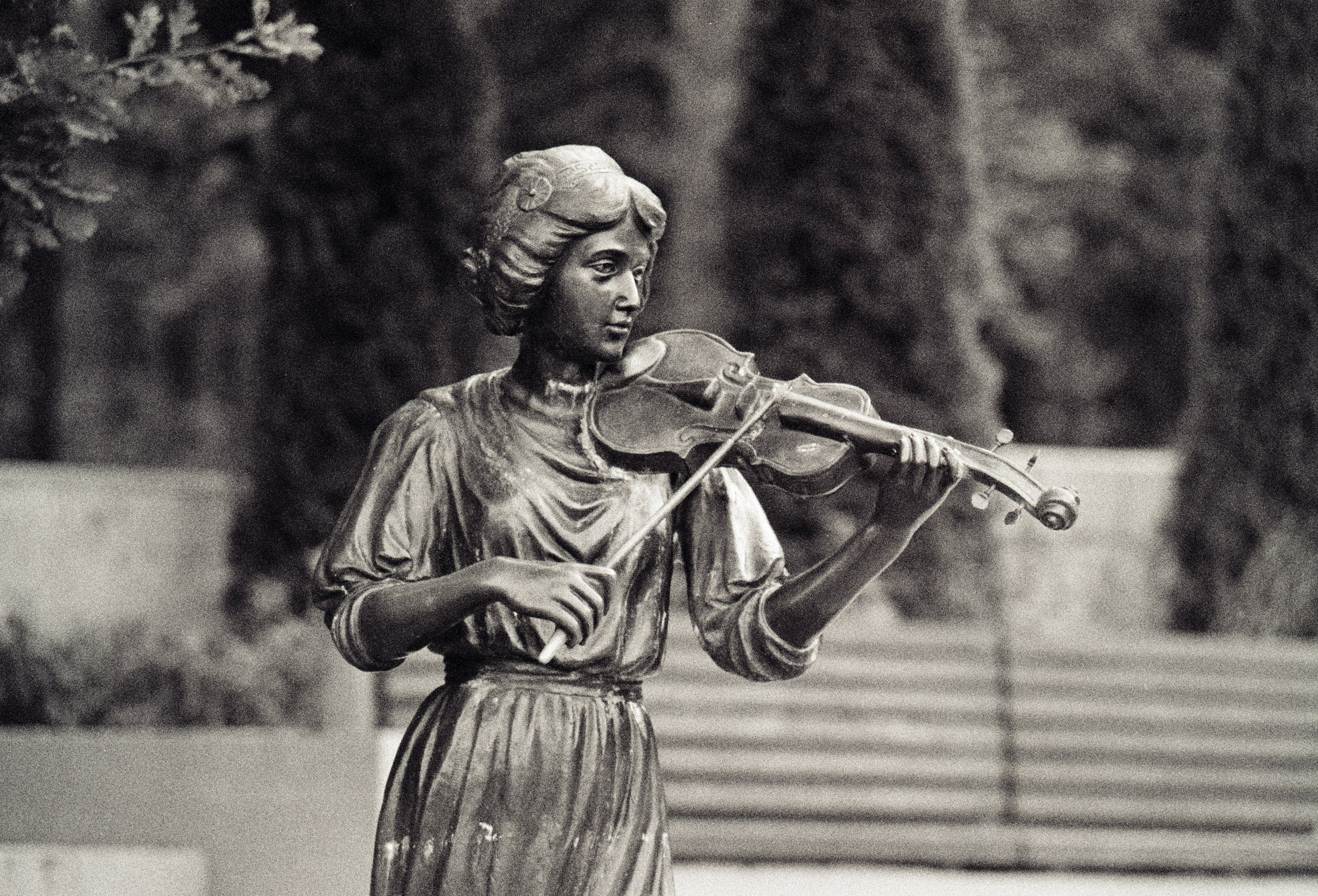 Other. Photographer in Kaliningrad