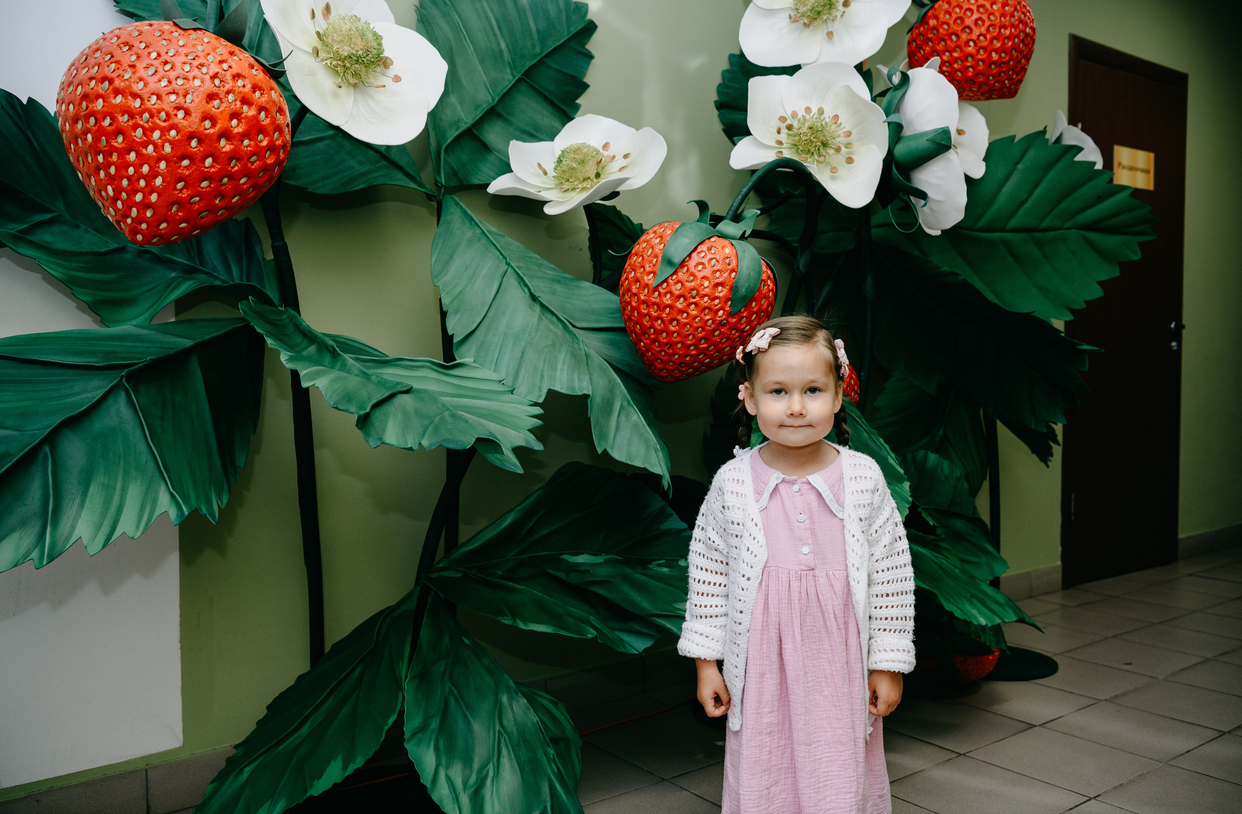 Волшебная страна. Фотограф на выписку из роддома в Москве и МО