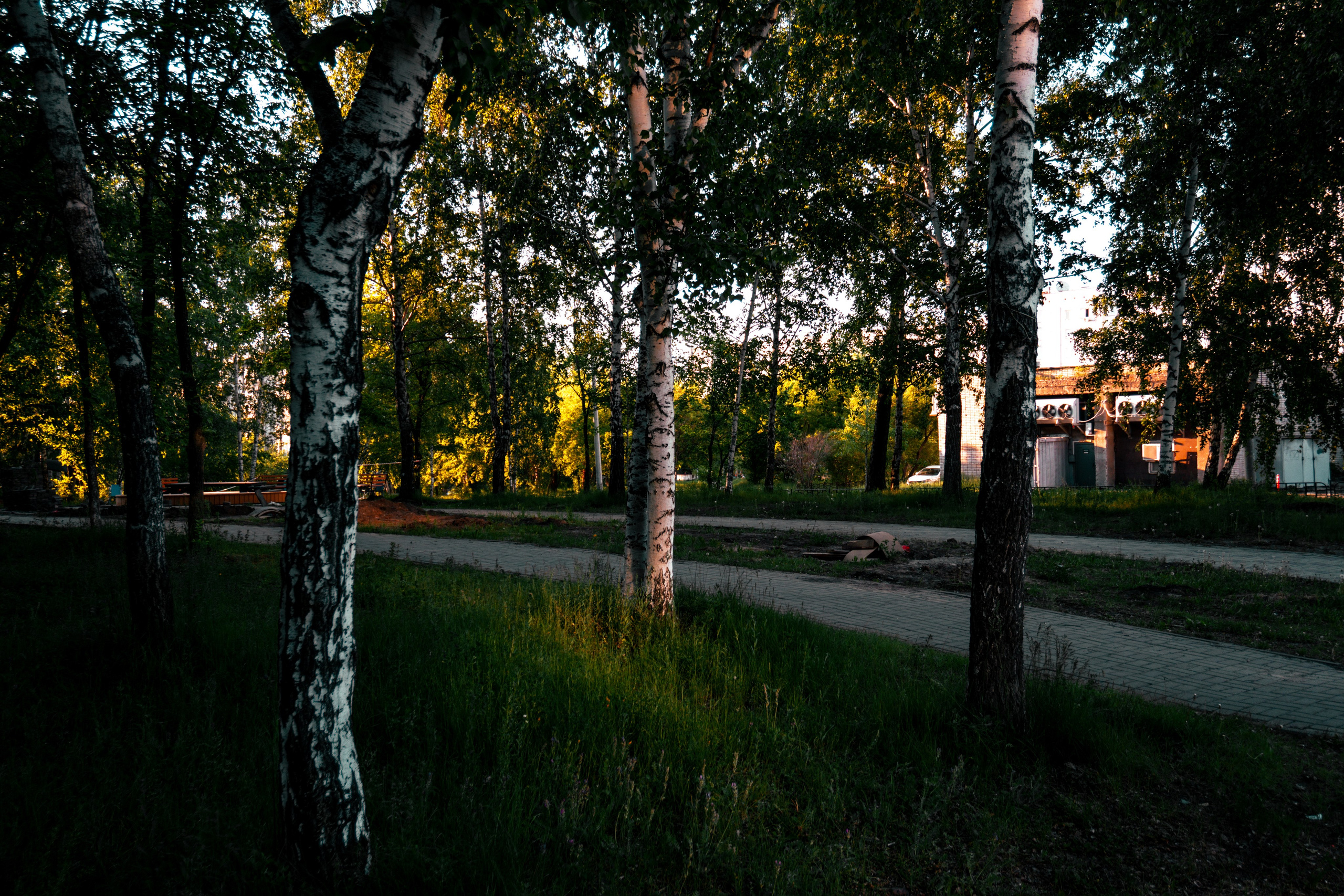 06.06.2025 | Сосновоборск. Kuznetsov | Фотограф в Красноярске