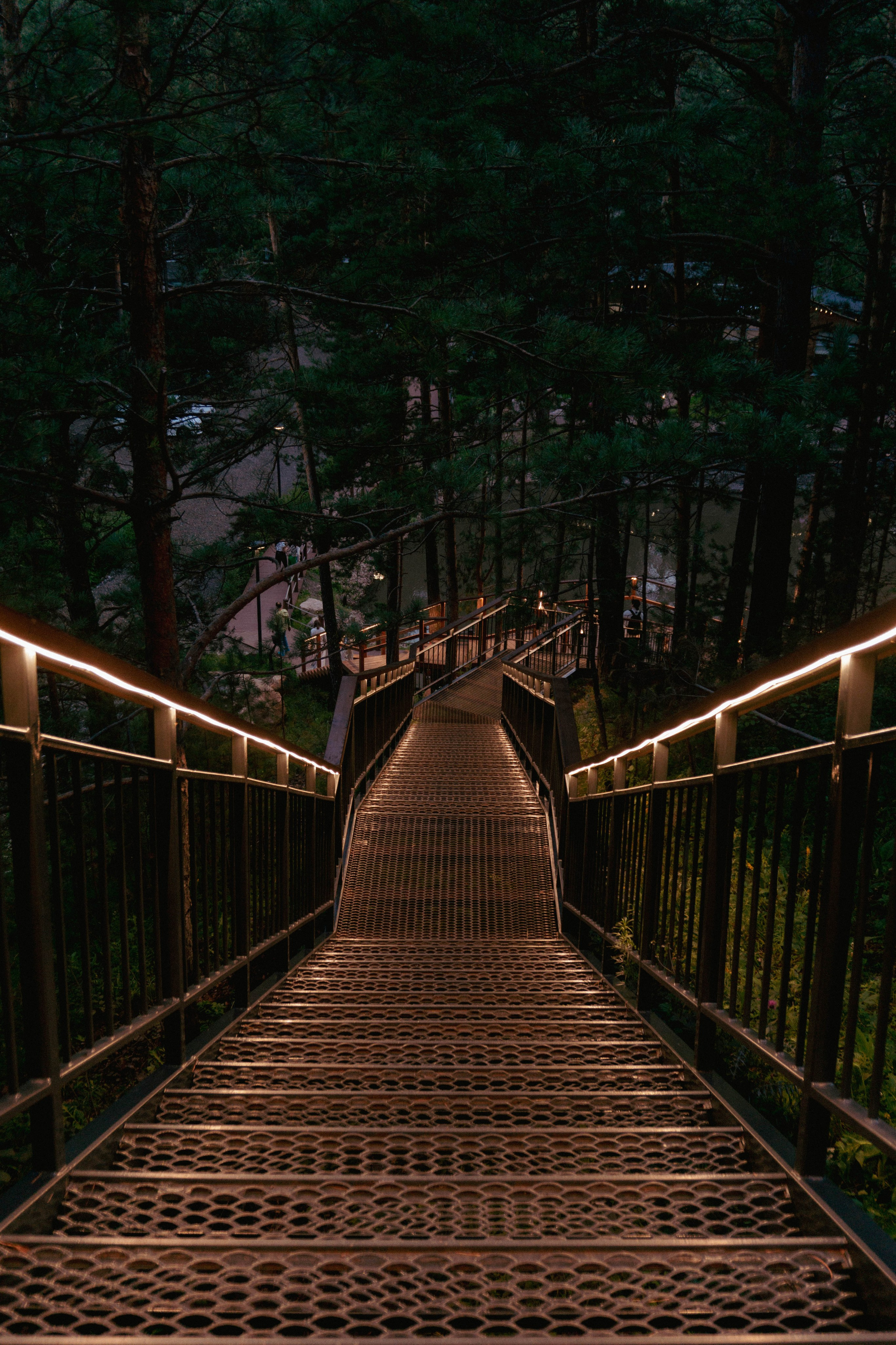 31.07.2025 | Красноярск. Kuznetsov | Фотограф в Красноярске