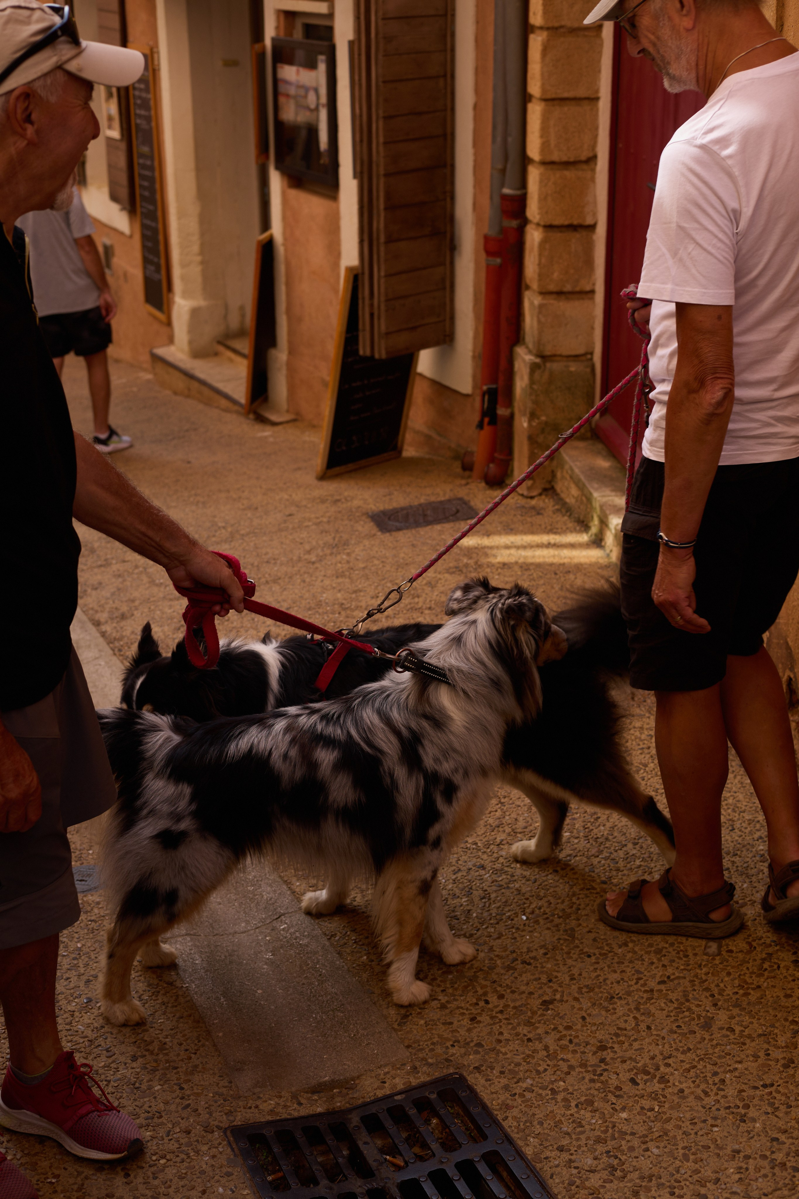 France (Provence & Paris) Sep'25. Анастасия Зобнинá — фотограф в Санкт-Петербурге/СПб