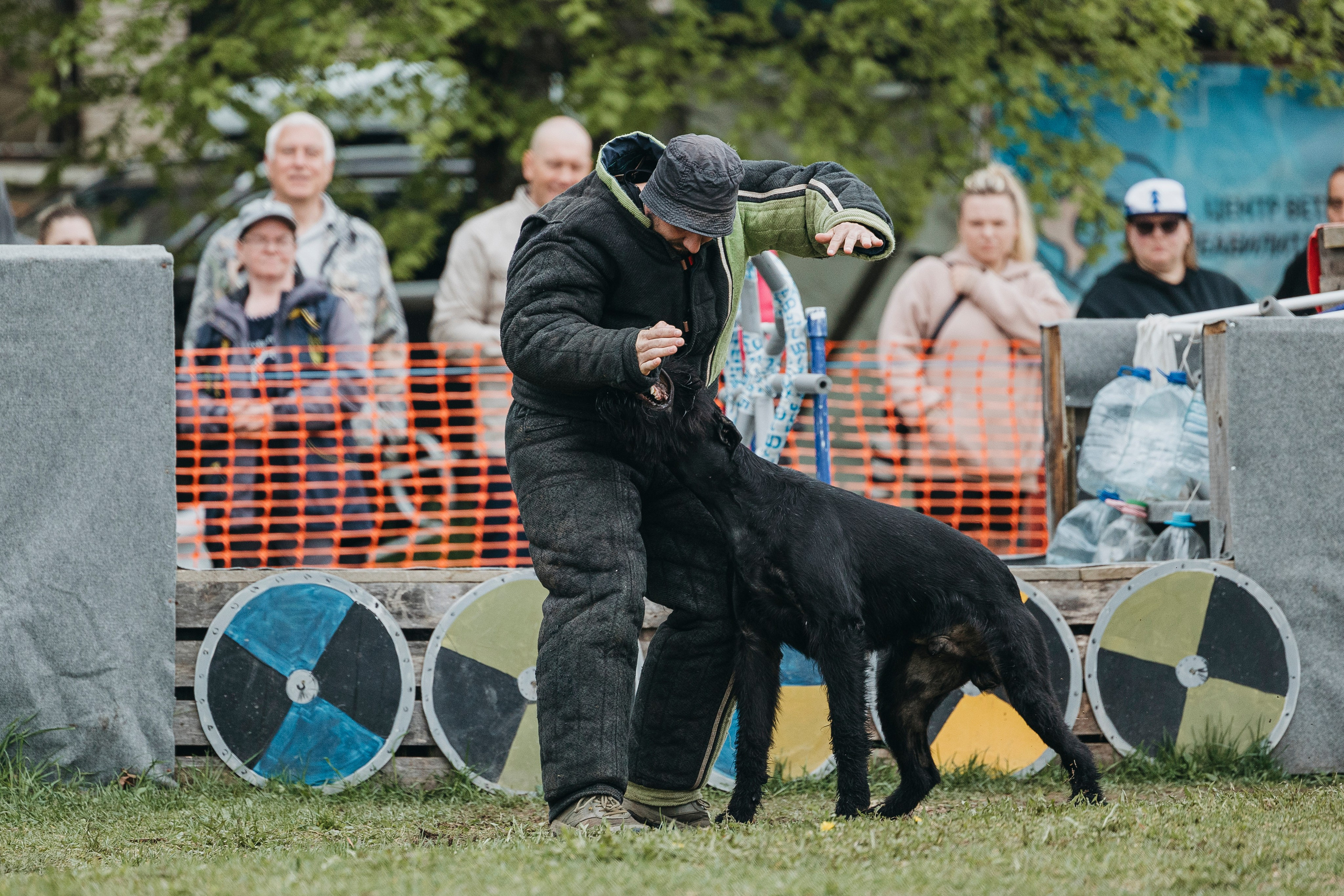 26.05.25 г. Пушкин квалификационные соревнования. Фотограф-анималист Анна Маринич