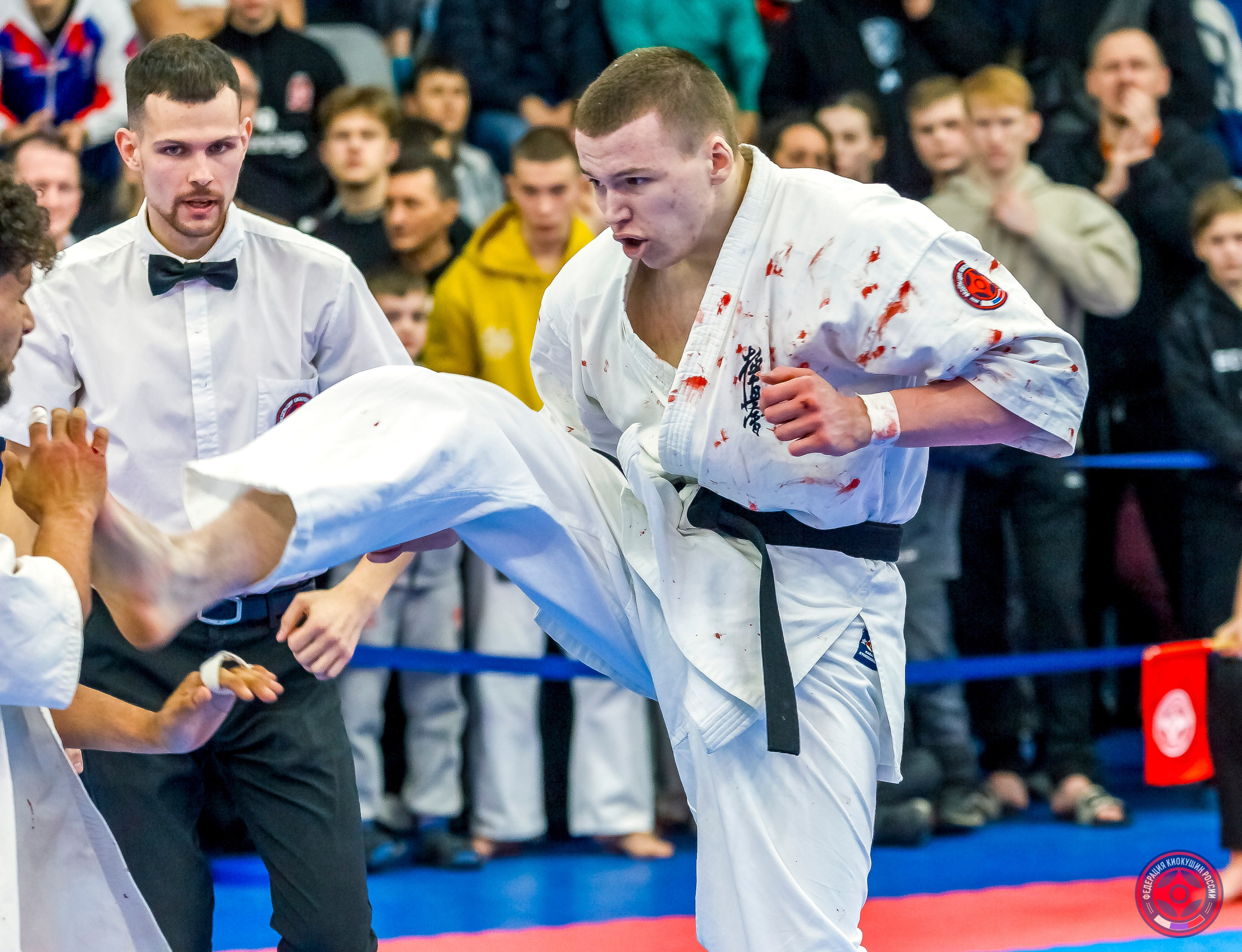 Международный турнир по киокушин «Открытый кубок Seiken». Репортажная съемка в Москве и области. Анималистика