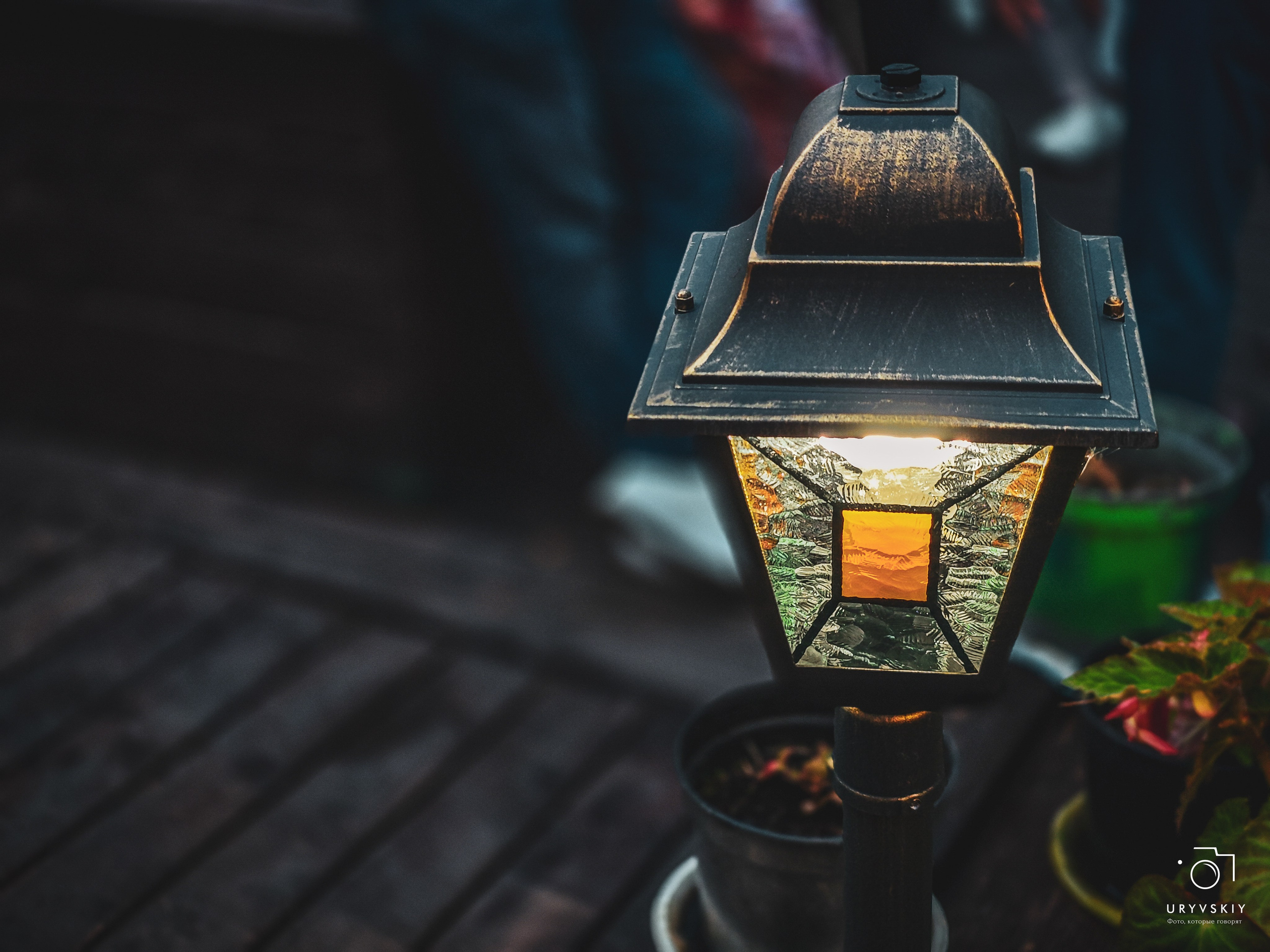 Командор, Хороший. День торговли 2025. Игорь Урывский. Фотограф Красноярск