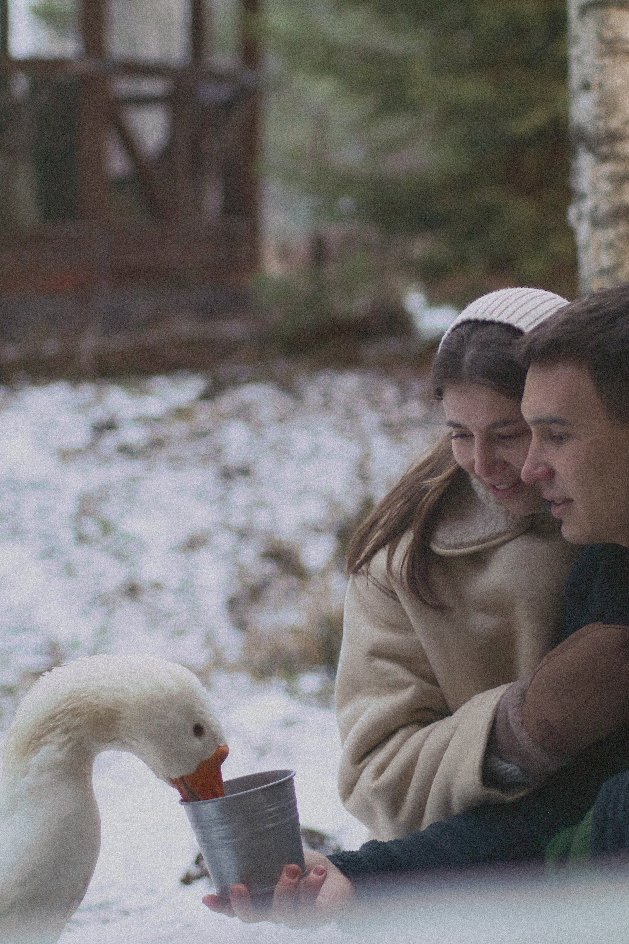 Пара зимой. Фотограф и видеограф Анастасия Витюкова | Екатеринбург