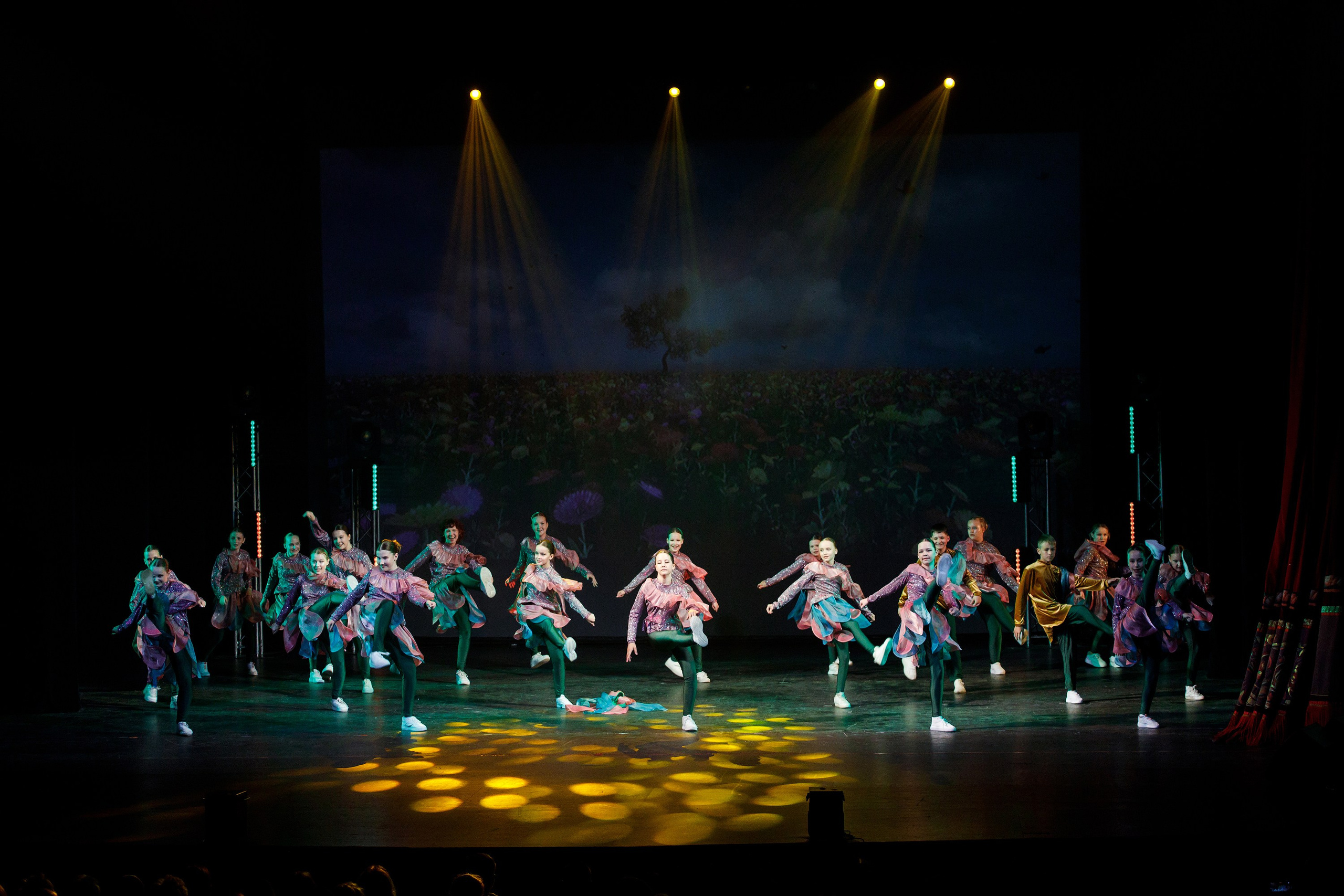 Отчётный концерт TODES Пермь. Фотограф Дмитрий Молчанов | Фотограф Пермь | Фотограф